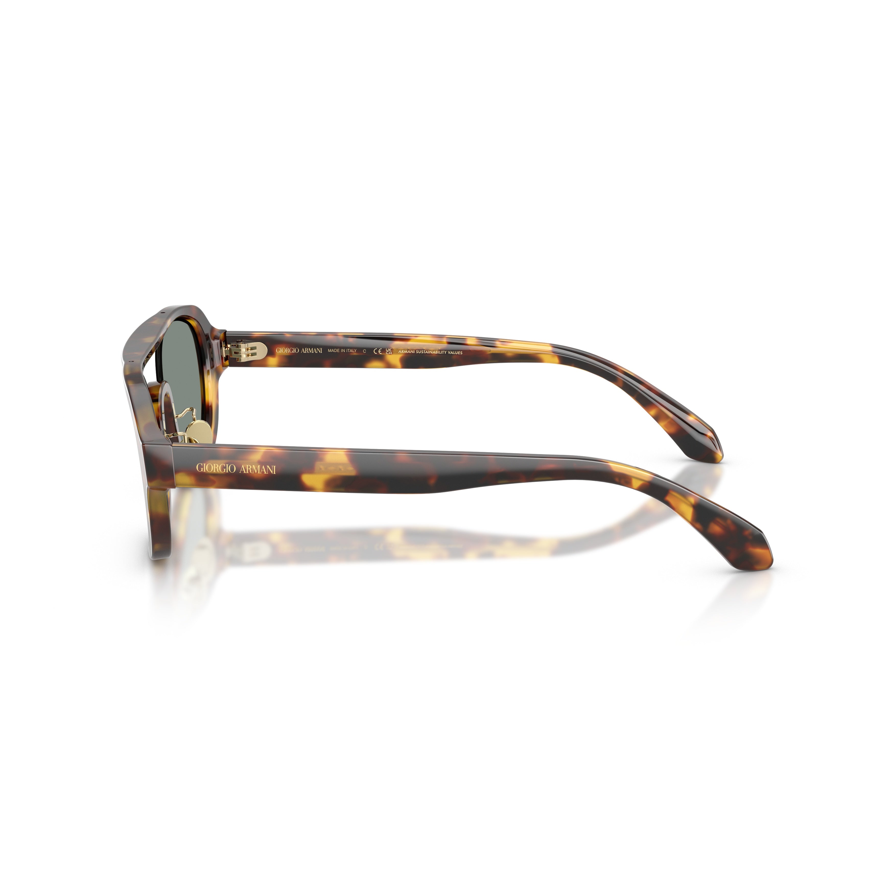 0ar8247 Bold Tortoiseshell Acetate Sunglasses with Adjustable Nose Pads