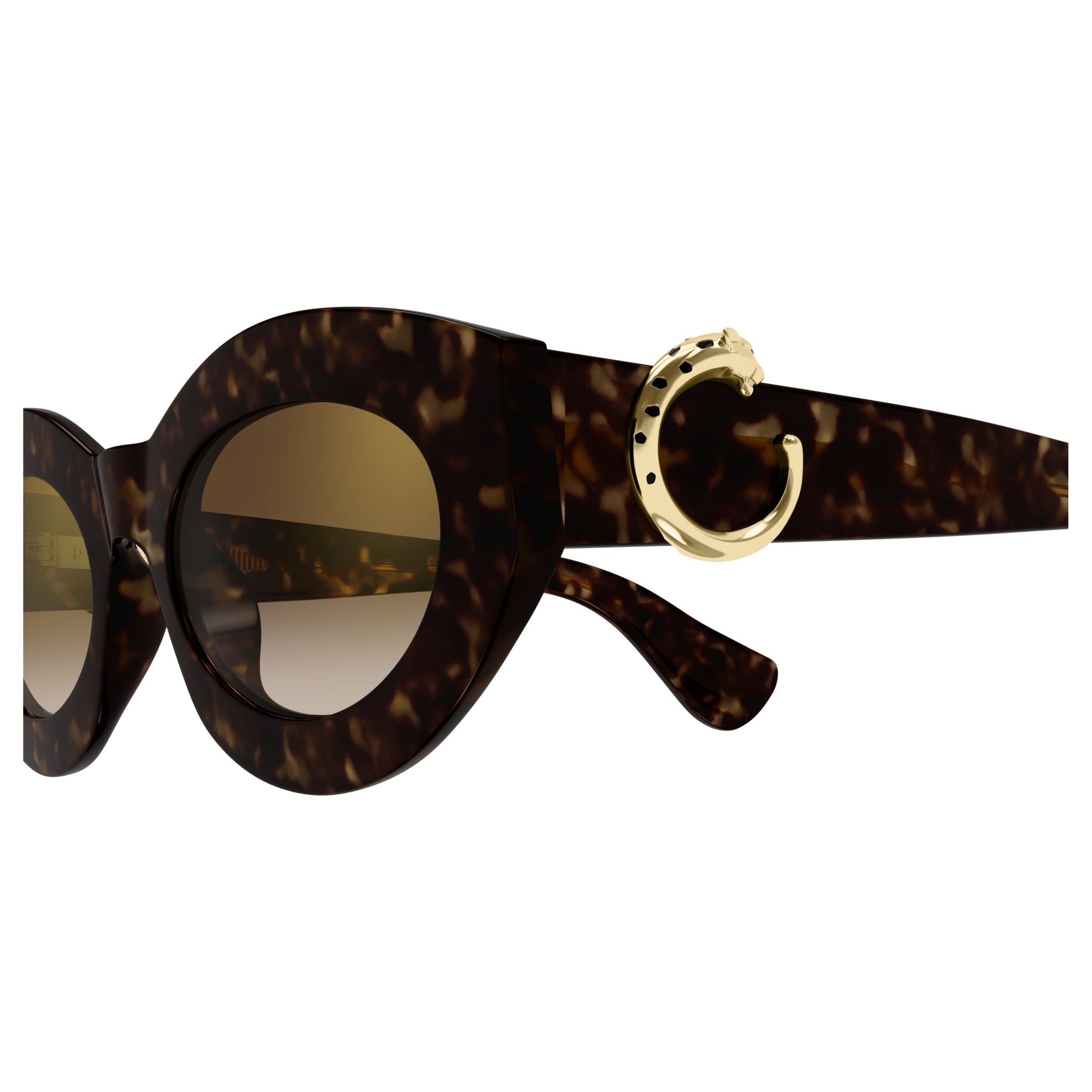 Ct0638s Bold Tortoiseshell Cat-Eye Sunglasses