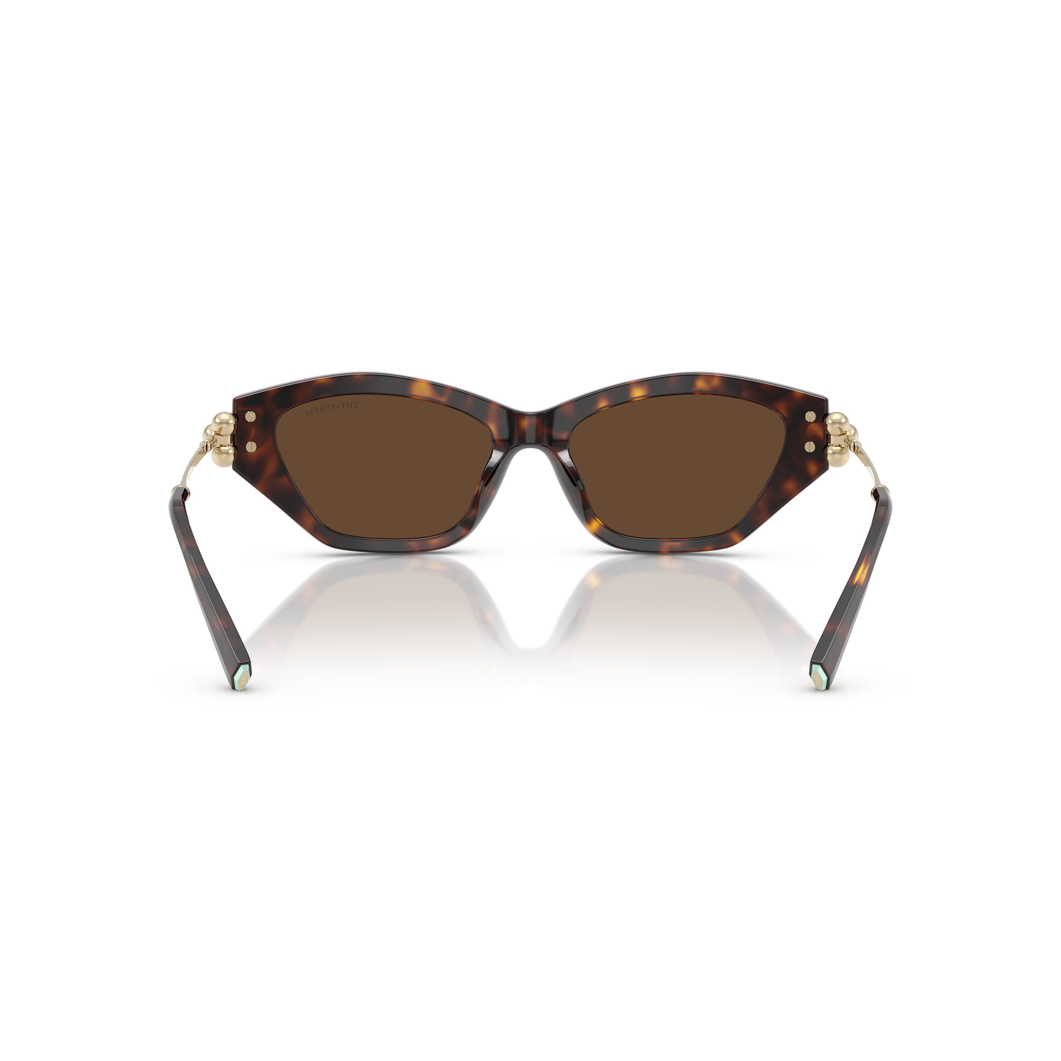 0tf4231u Cat-Eye Sunglasses in Tortoiseshell Acetate