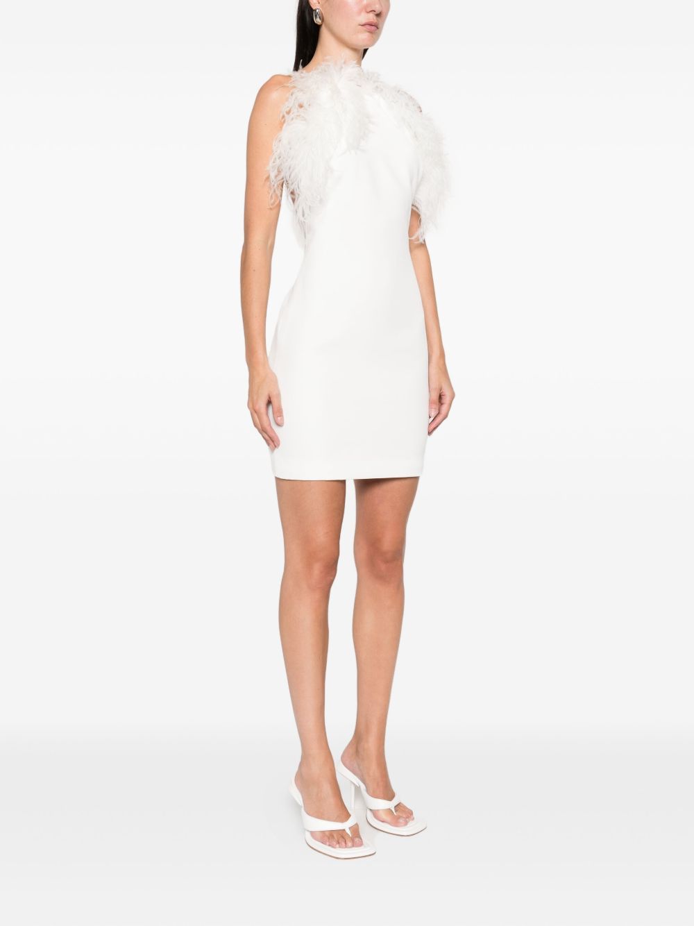 Mini Dress with Feather Embellished Neckline