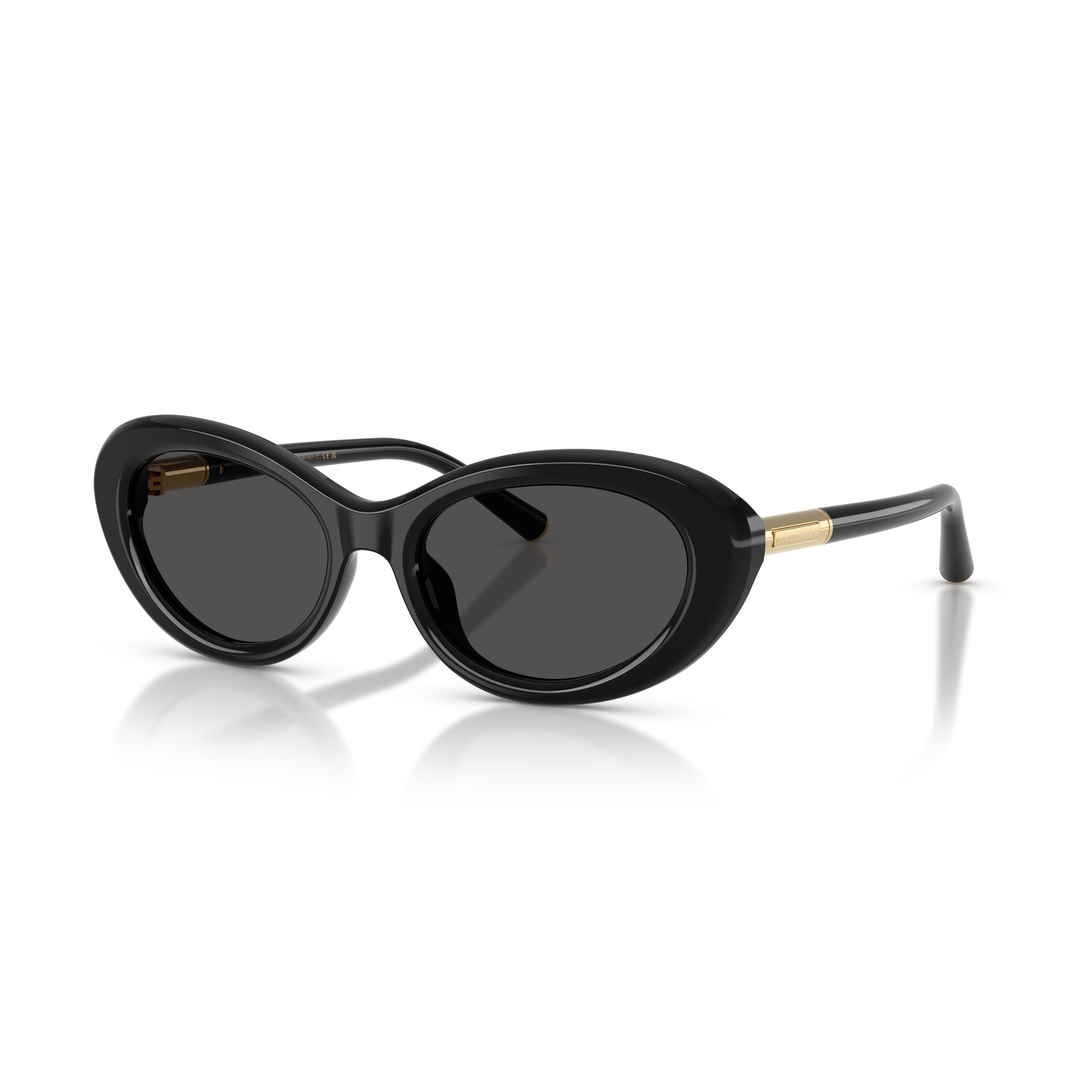 0dg4519 Oval Frame Sunglasses