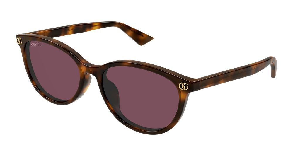 Sunglasses Gucci GG1818SK 002 Havana Havana Violet 56/17/145