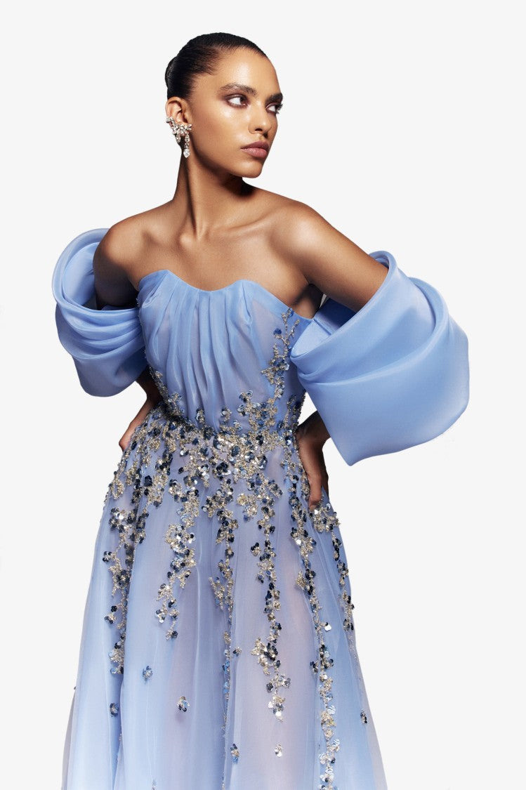 Organza Dress With Dotted Beading