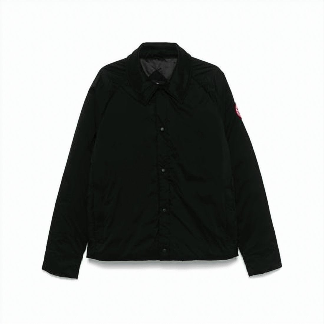 Minimalist Black Padded Jacket with Classic Collar