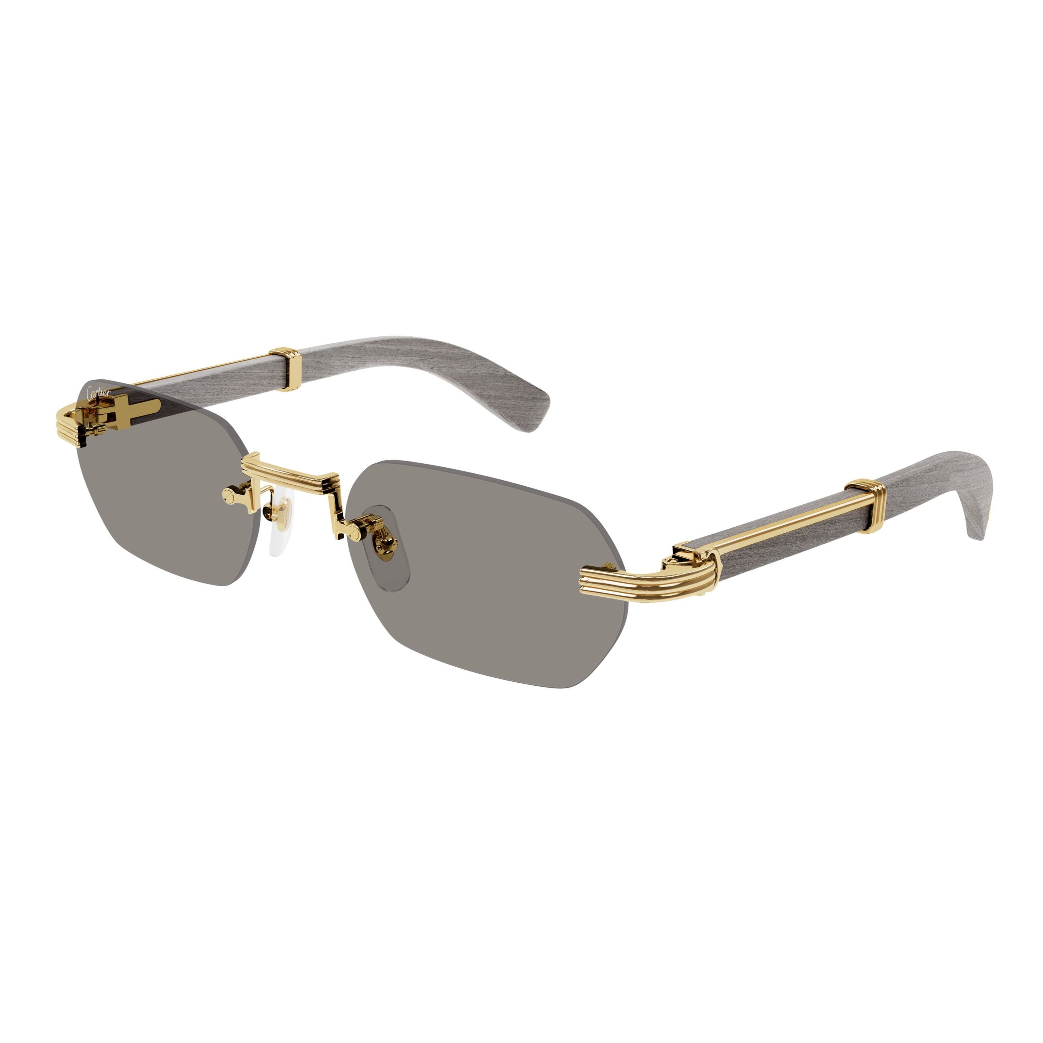 Ct0362s Rimless Rectangular Sunglasses