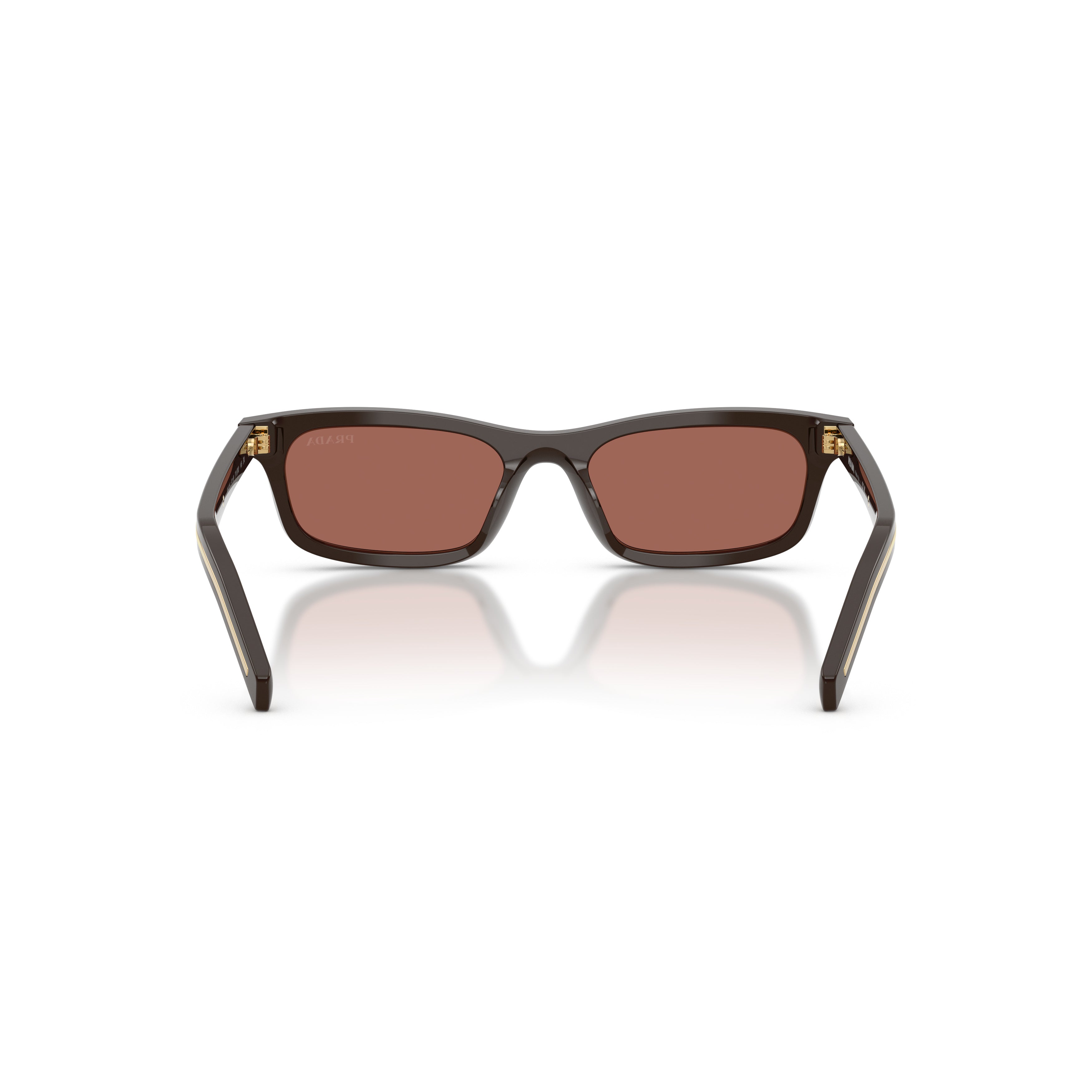 0pr D05s Rectangular Acetate Sunglasses
