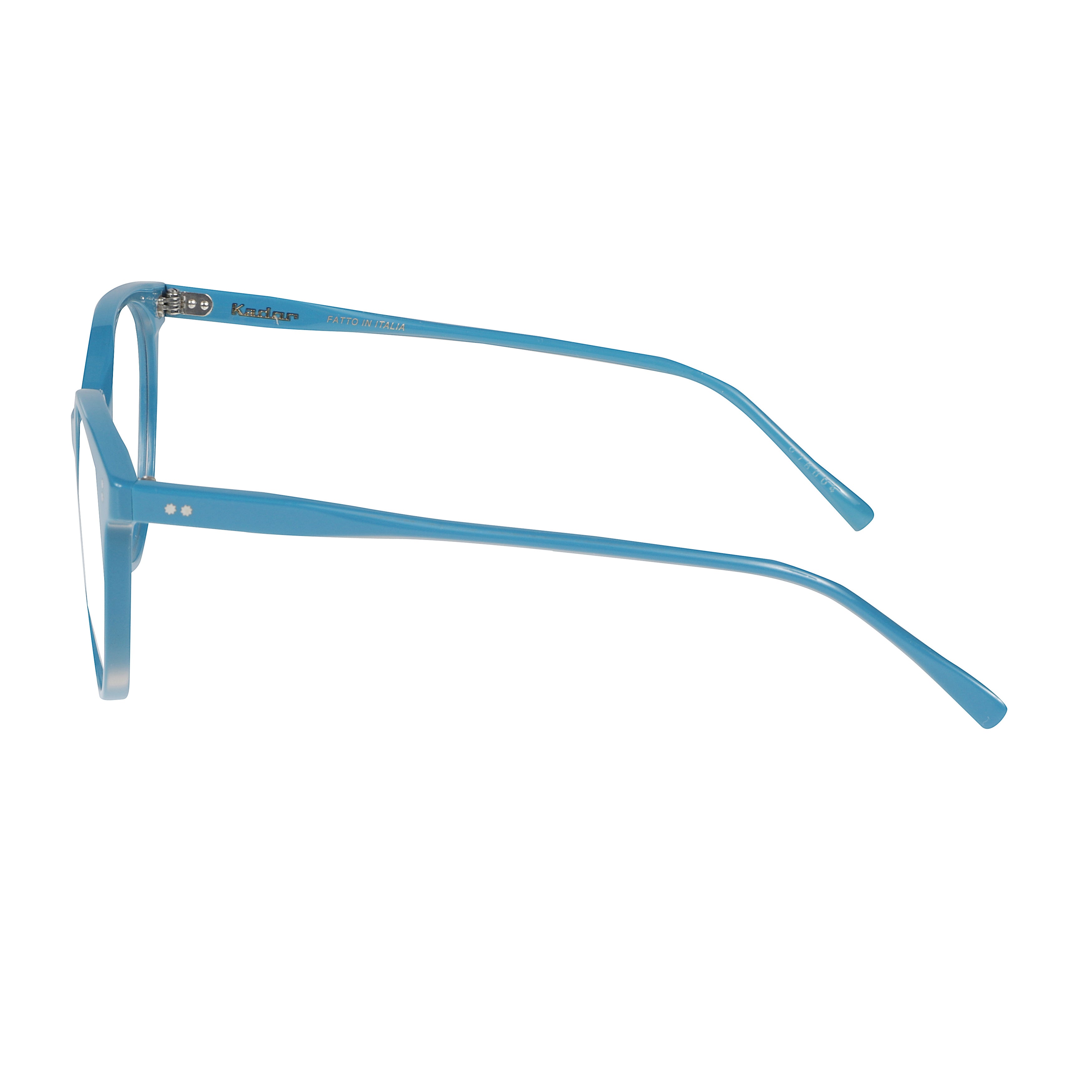 Cynda/N-54 Rounded Frame Sunglasses with Metallic Accents