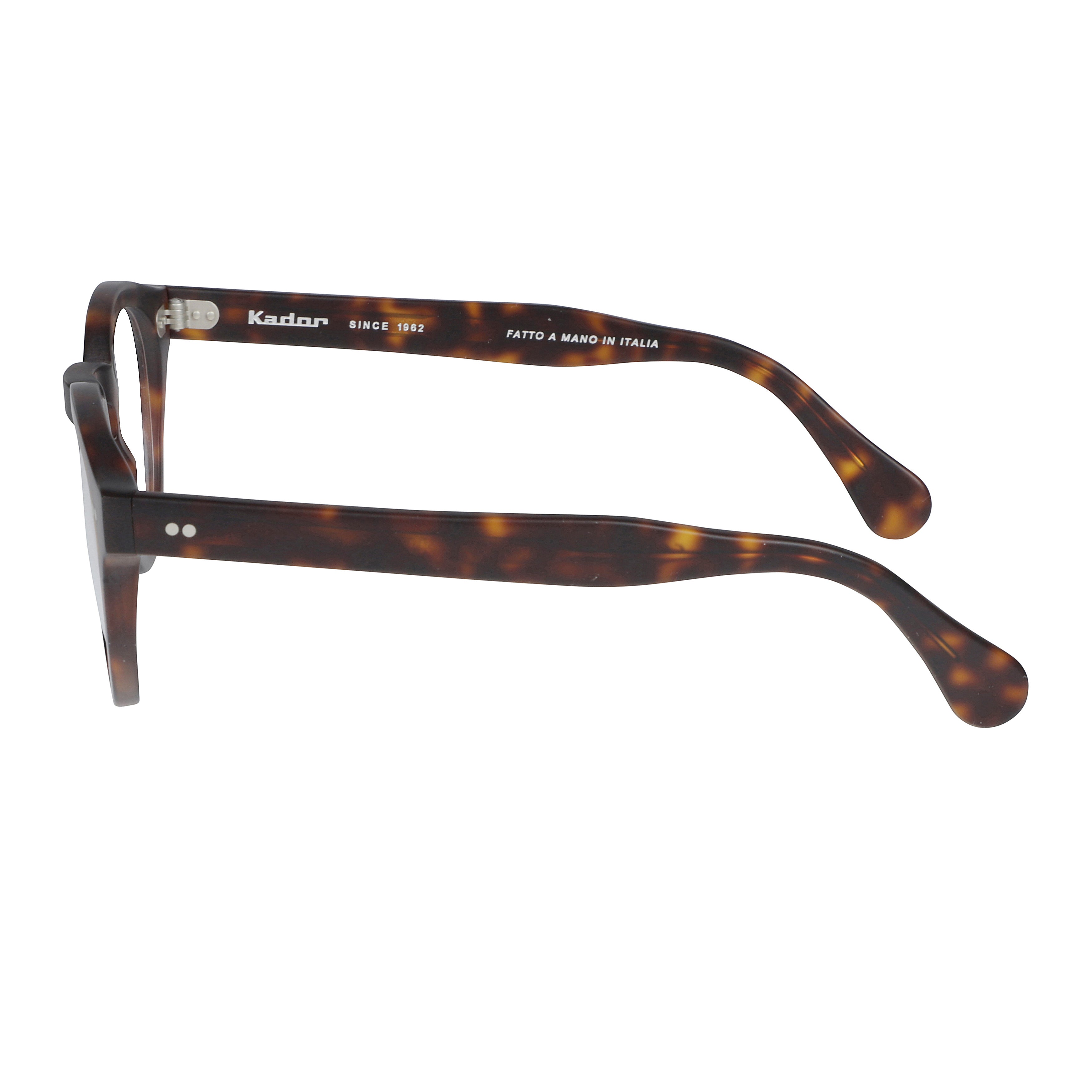 Tony-K Tortoiseshell Round Frame Eyeglasses with Metallic Rivet Details