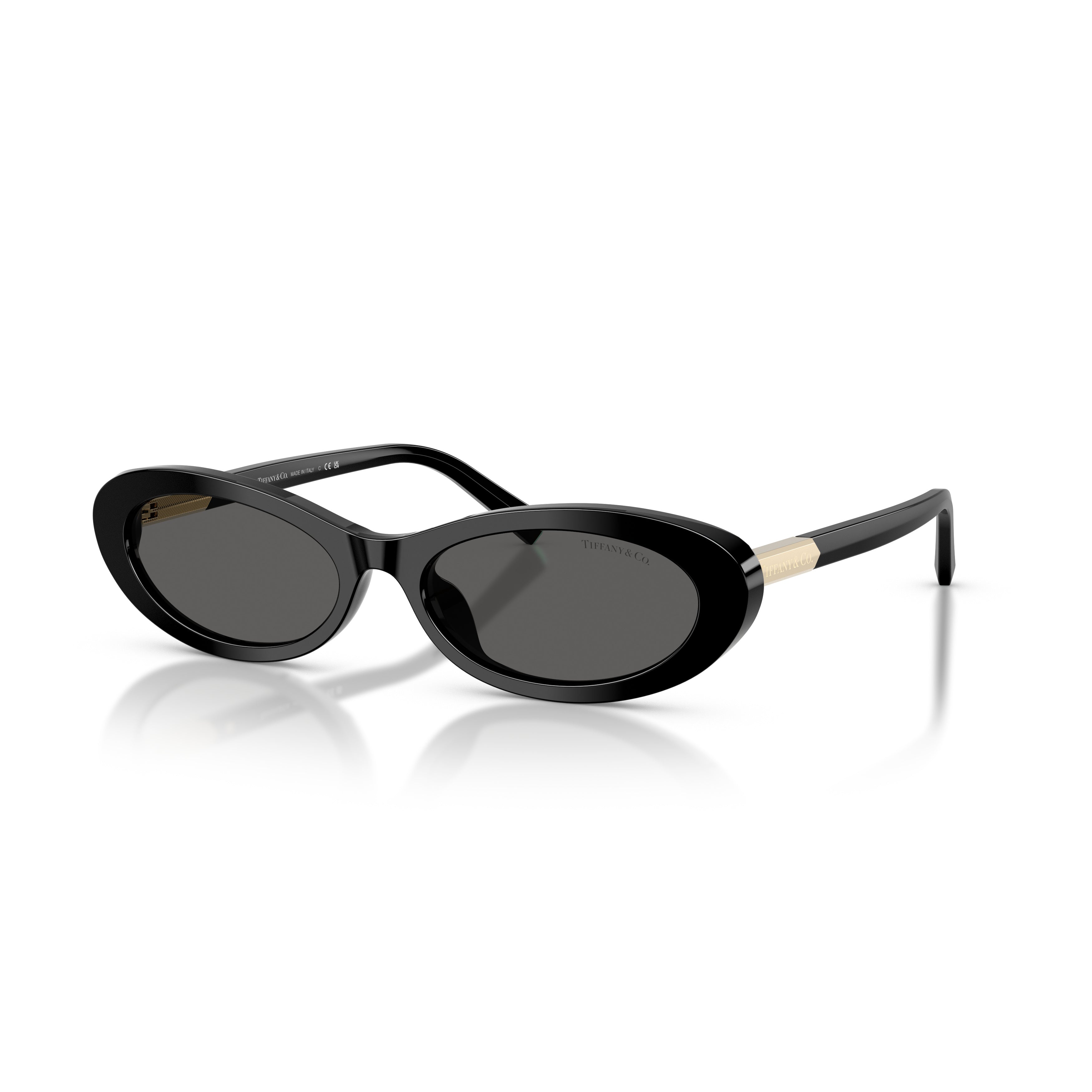 0tf4250 Elongated Oval Sunglasses
