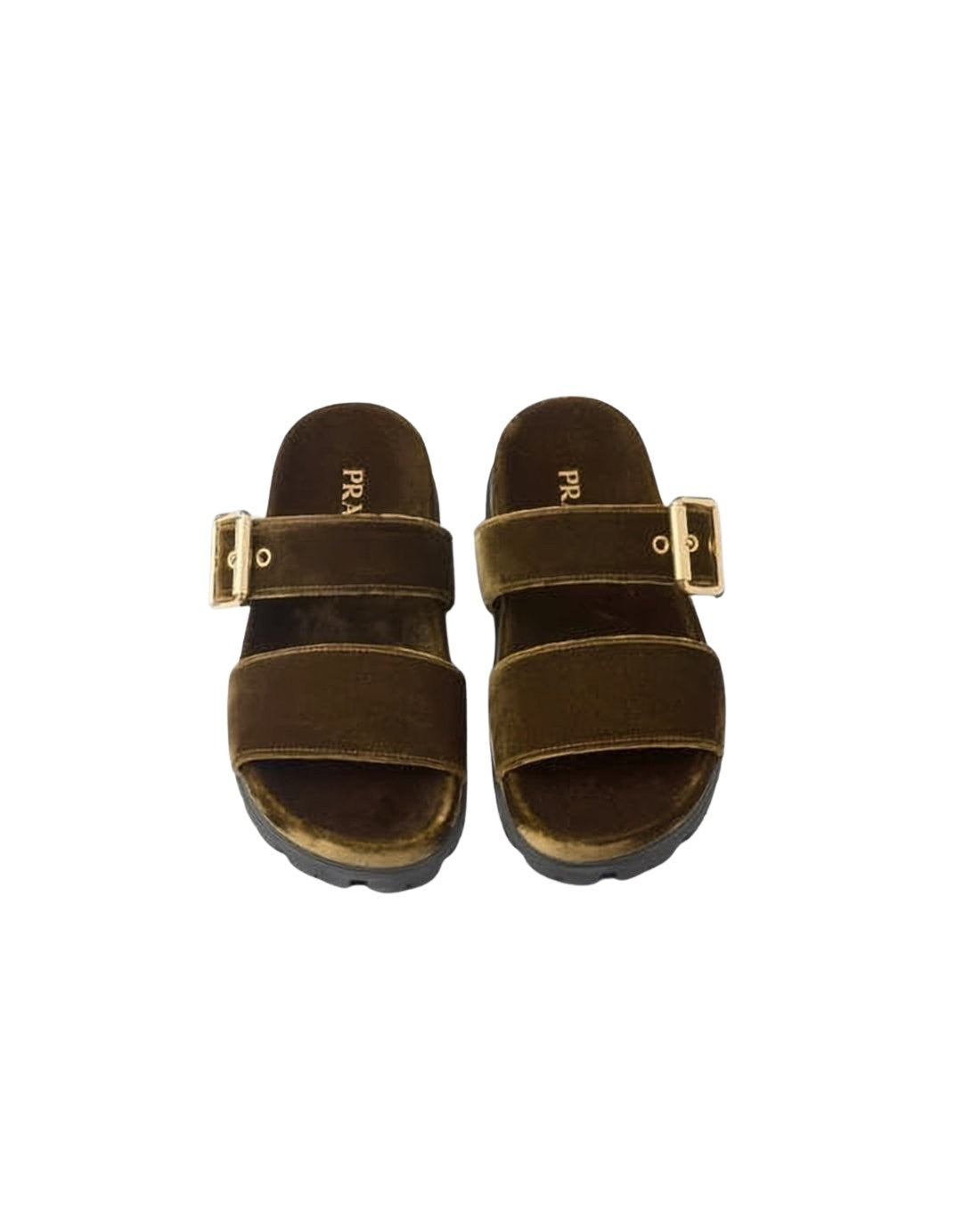 Brown Velvet Mules with Gold-tone Buckles