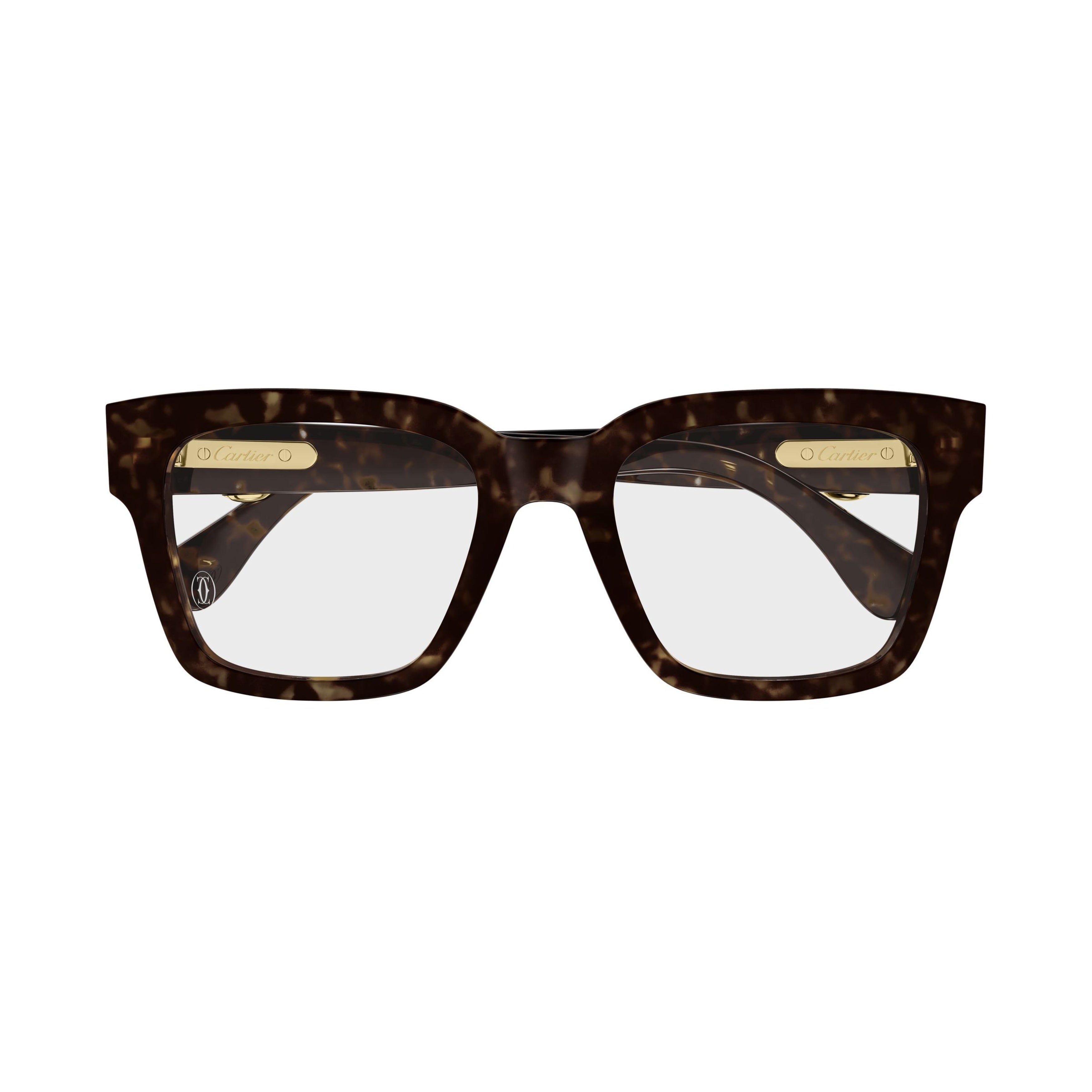 Ct0640o Square Frame Sunglasses