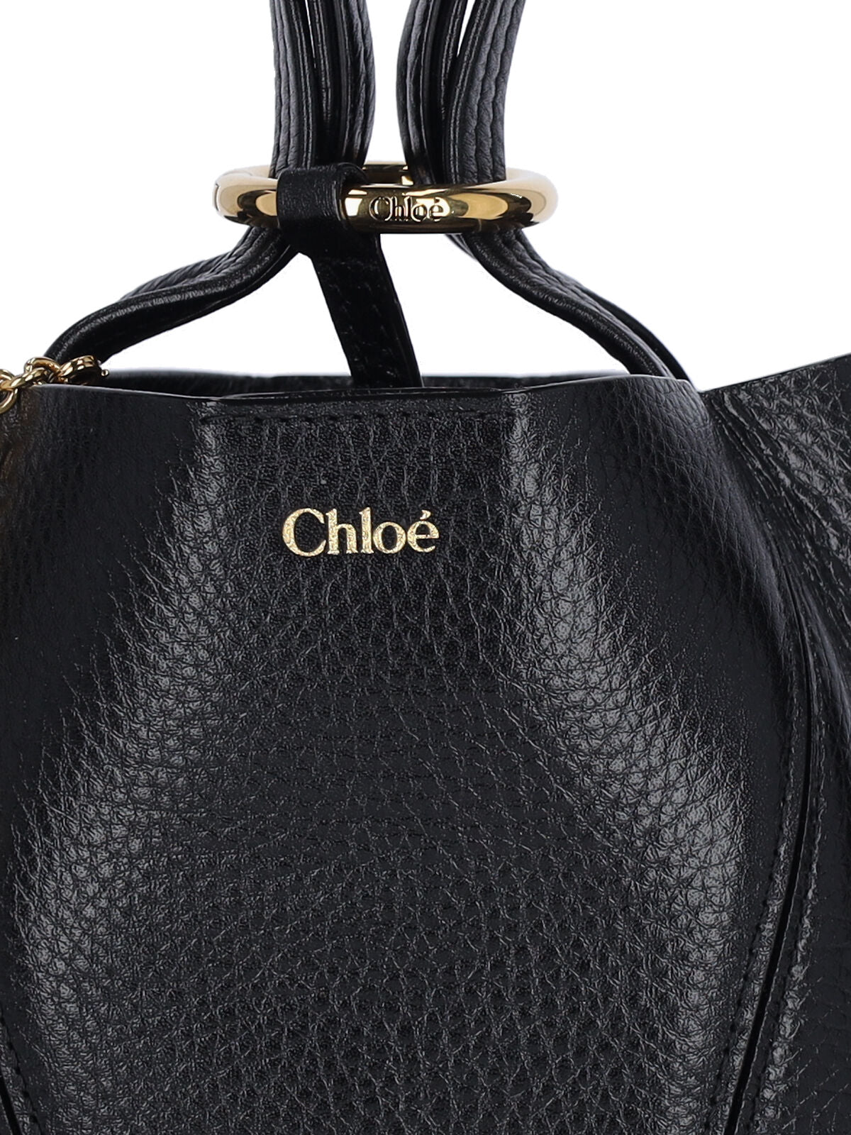 Small Hammered Leather Tote with Golden Accents