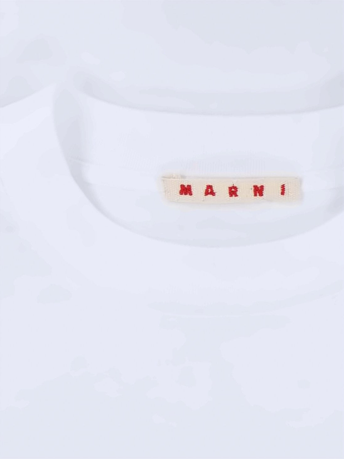 Cropped Short-Sleeve T-Shirt with Textured Lettering