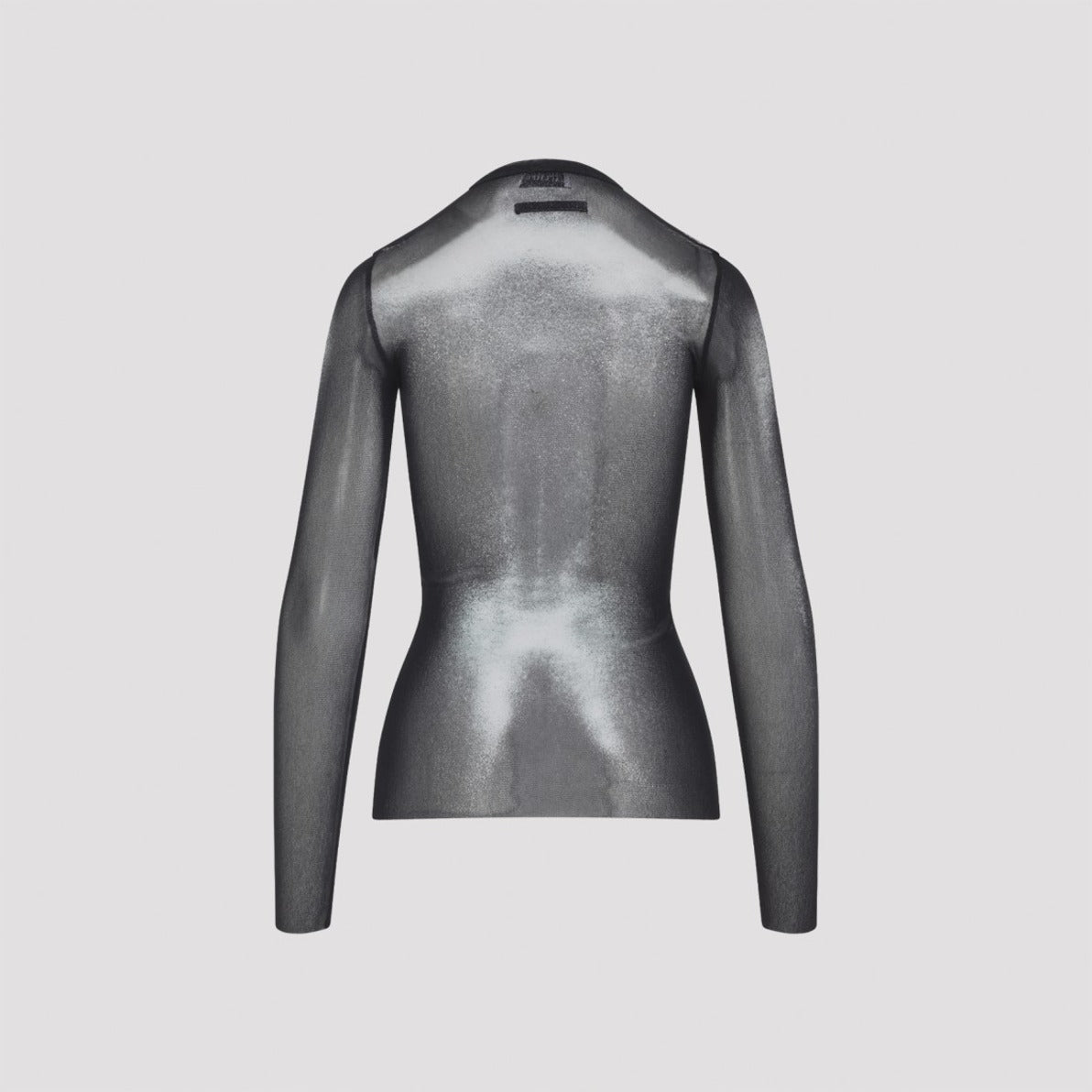 Sheer Long-Sleeved Top With Fitted Silhouette