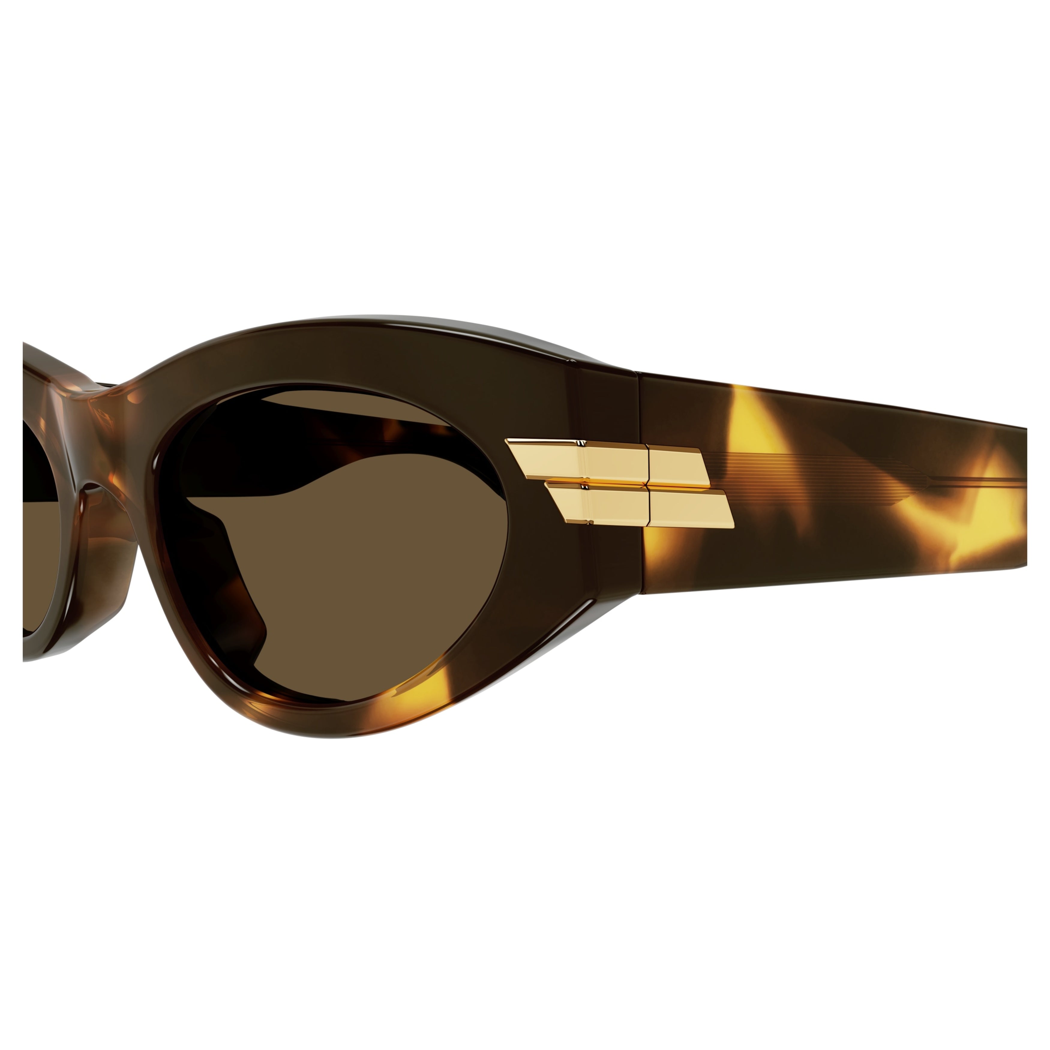Bv1189s Tortoiseshell Cat-Eye Sunglasses