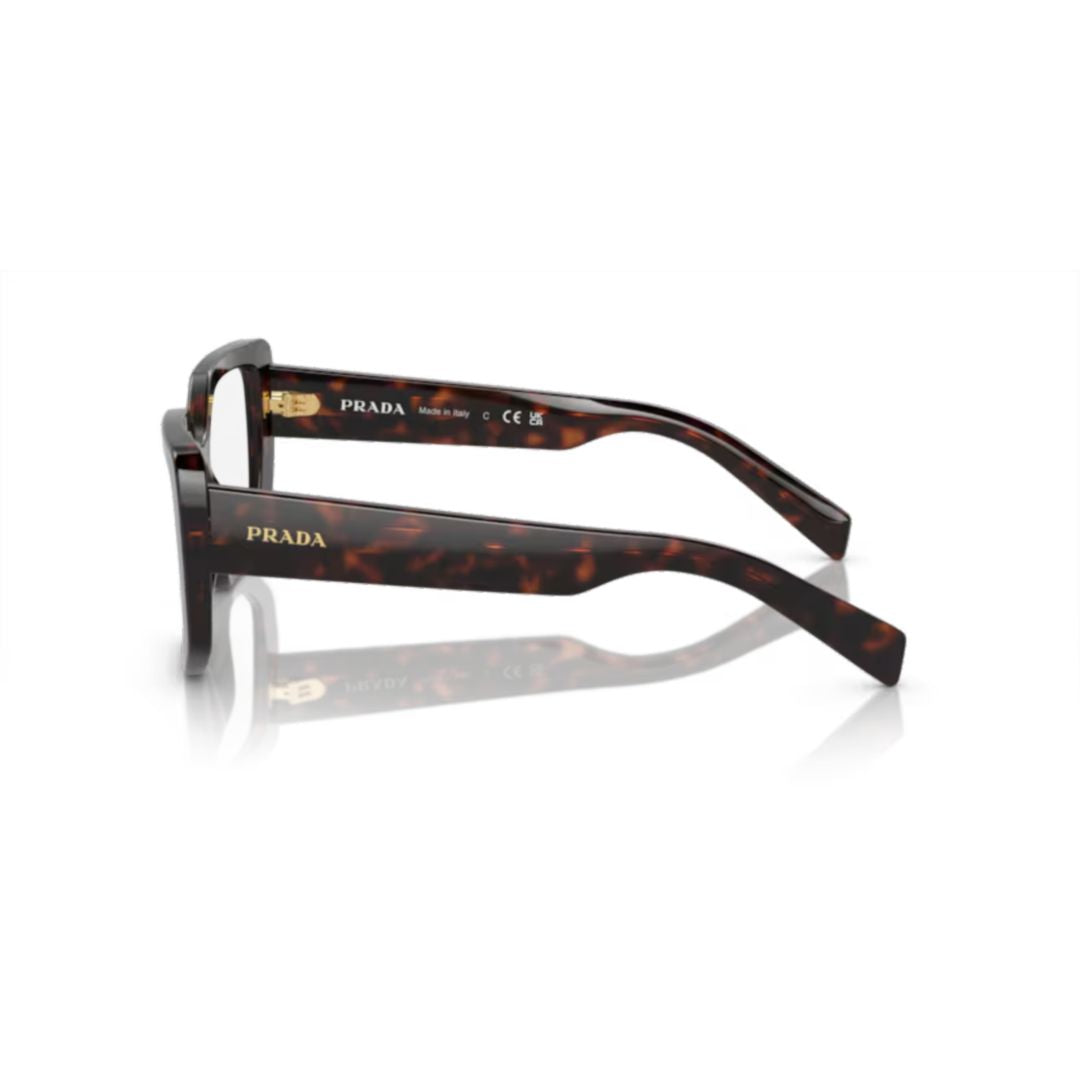 A04v Vista Oversized Tortoiseshell Acetate Eyeglasses