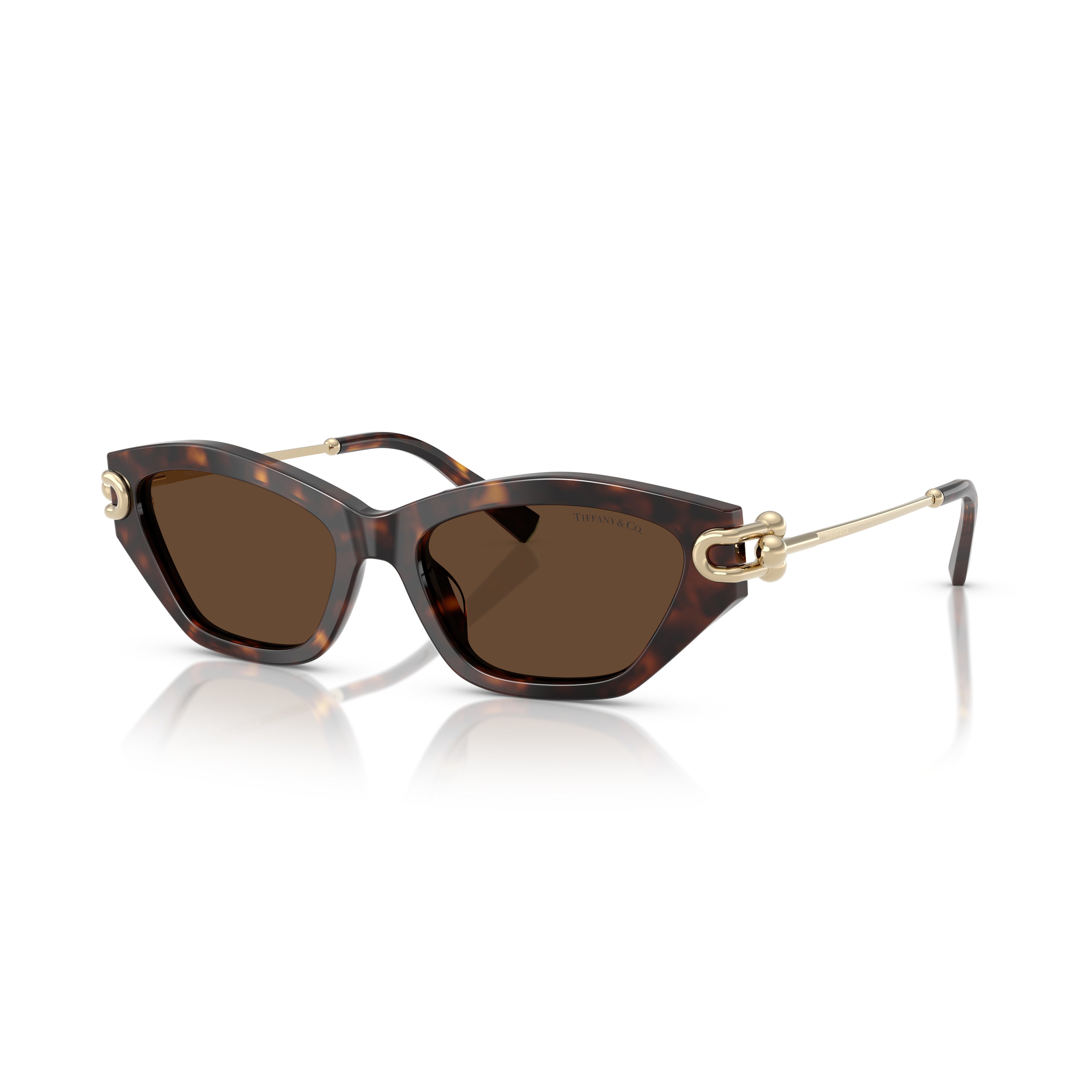 0tf4231u Cat-Eye Sunglasses in Tortoiseshell Acetate