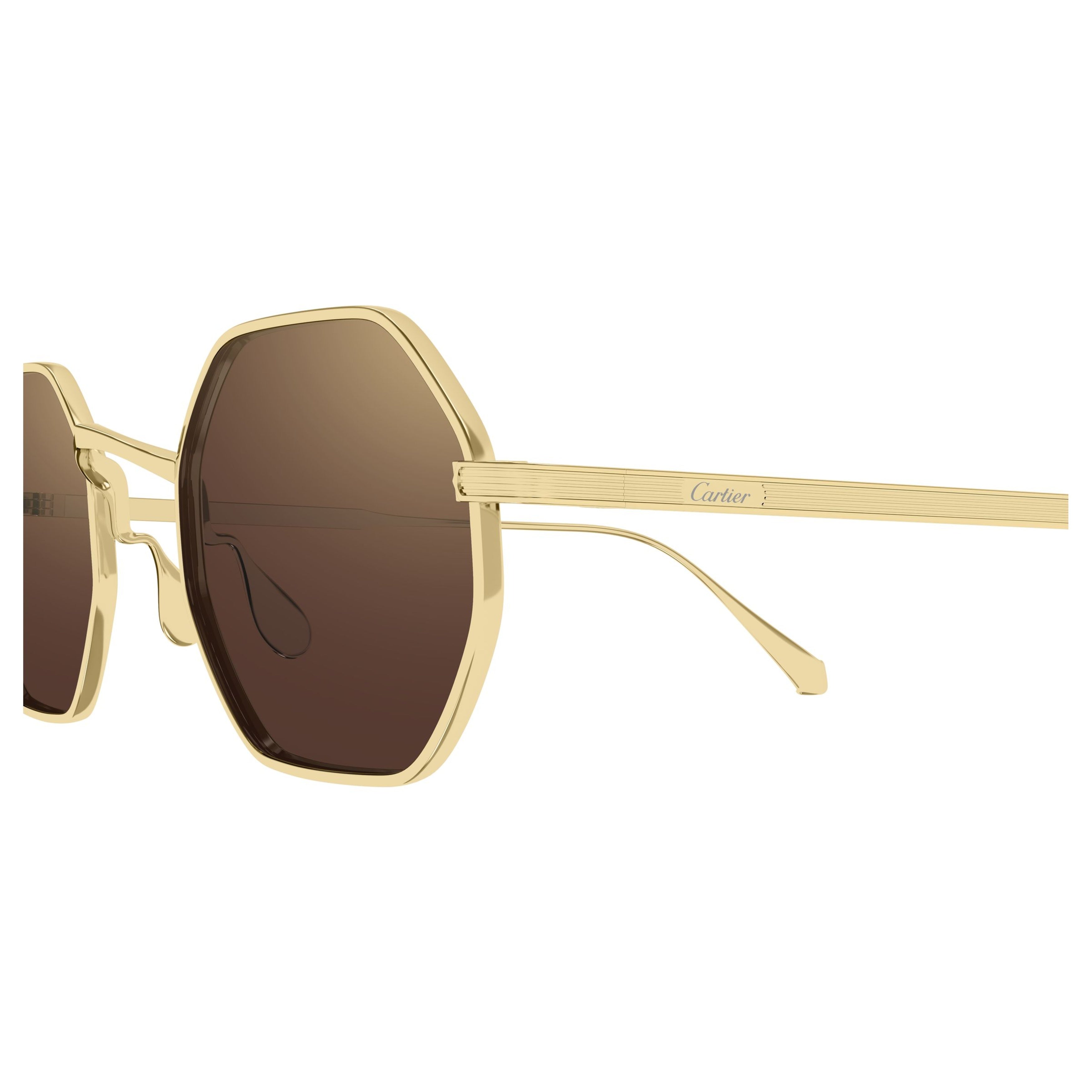 Ct0627s Polished Gold Octagonal Sunglasses