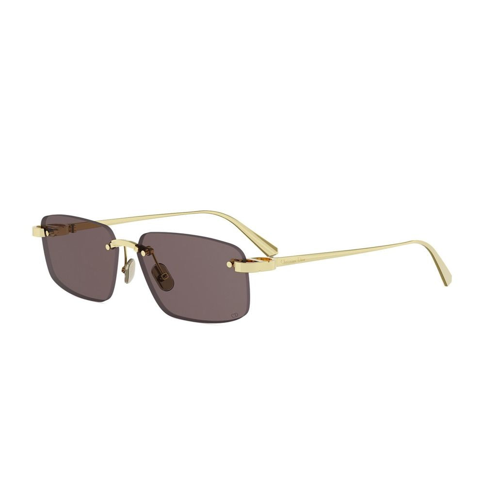 Cdior S4U Rectangular Sunglasses