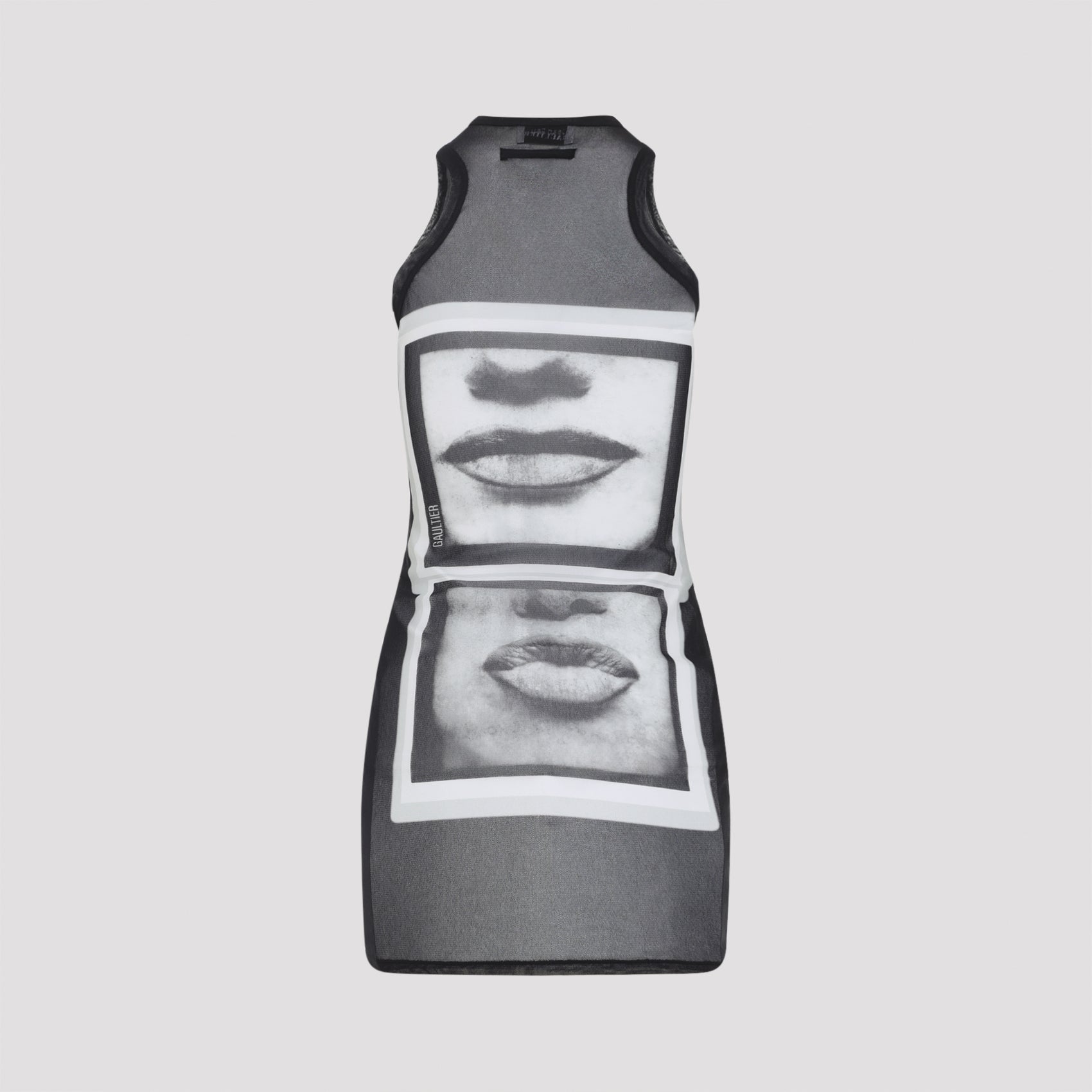 Fitted Sheer Mini Dress