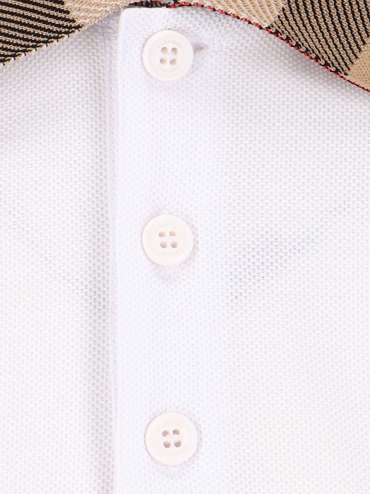 Check Collar Polo Shirt, In White Cotton