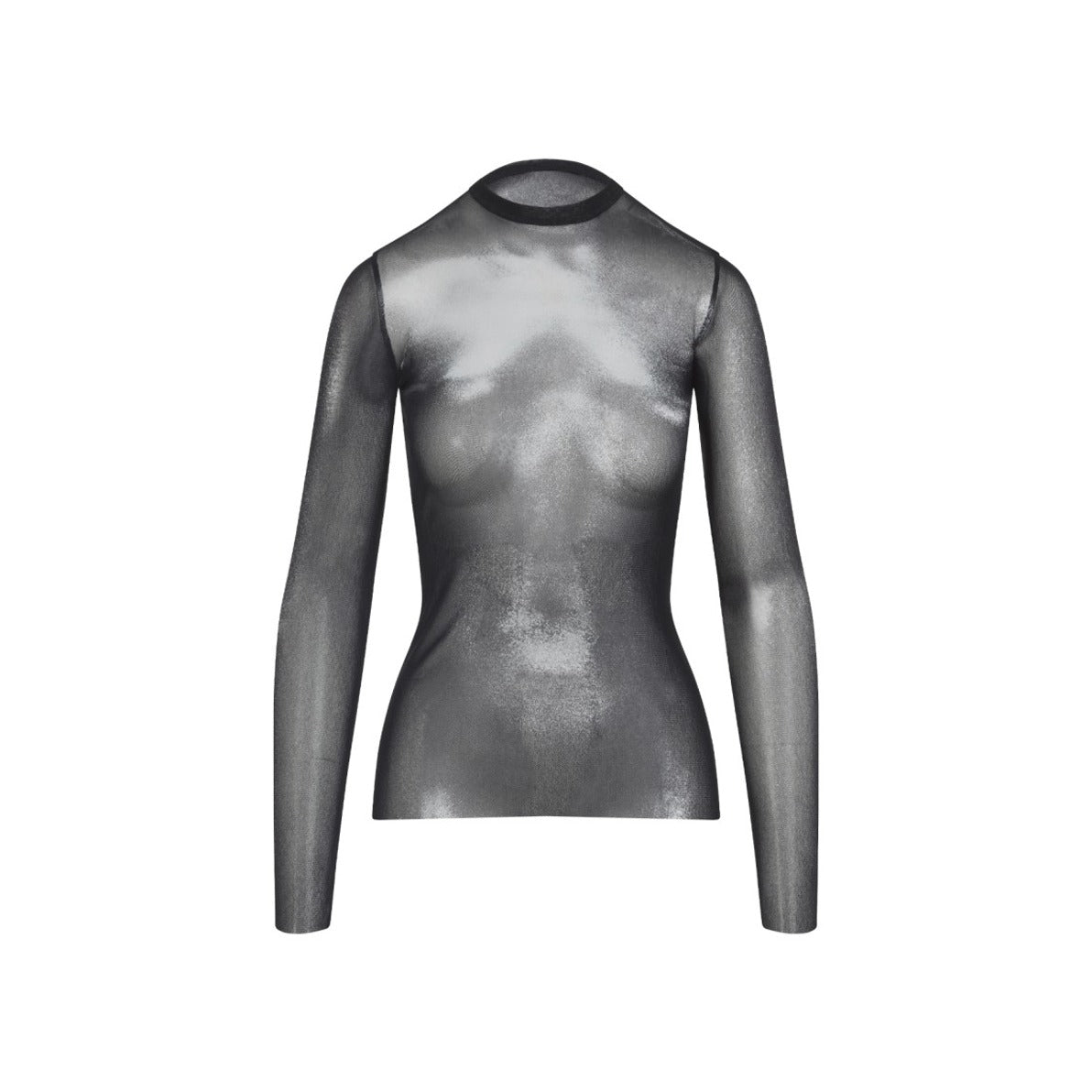 Sheer Long-Sleeved Top With Fitted Silhouette