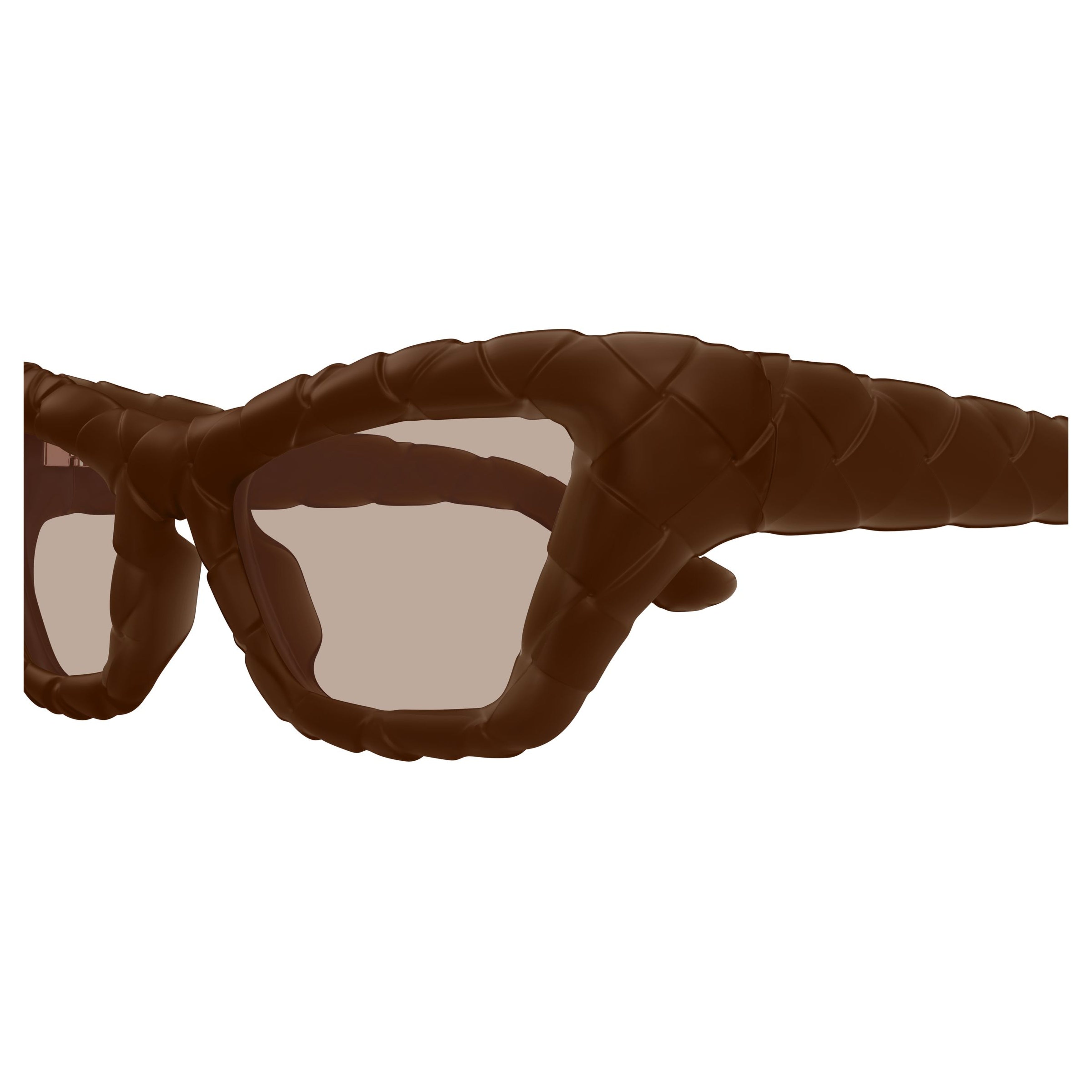 Bv1438s Sculptural Brown Sunglasses