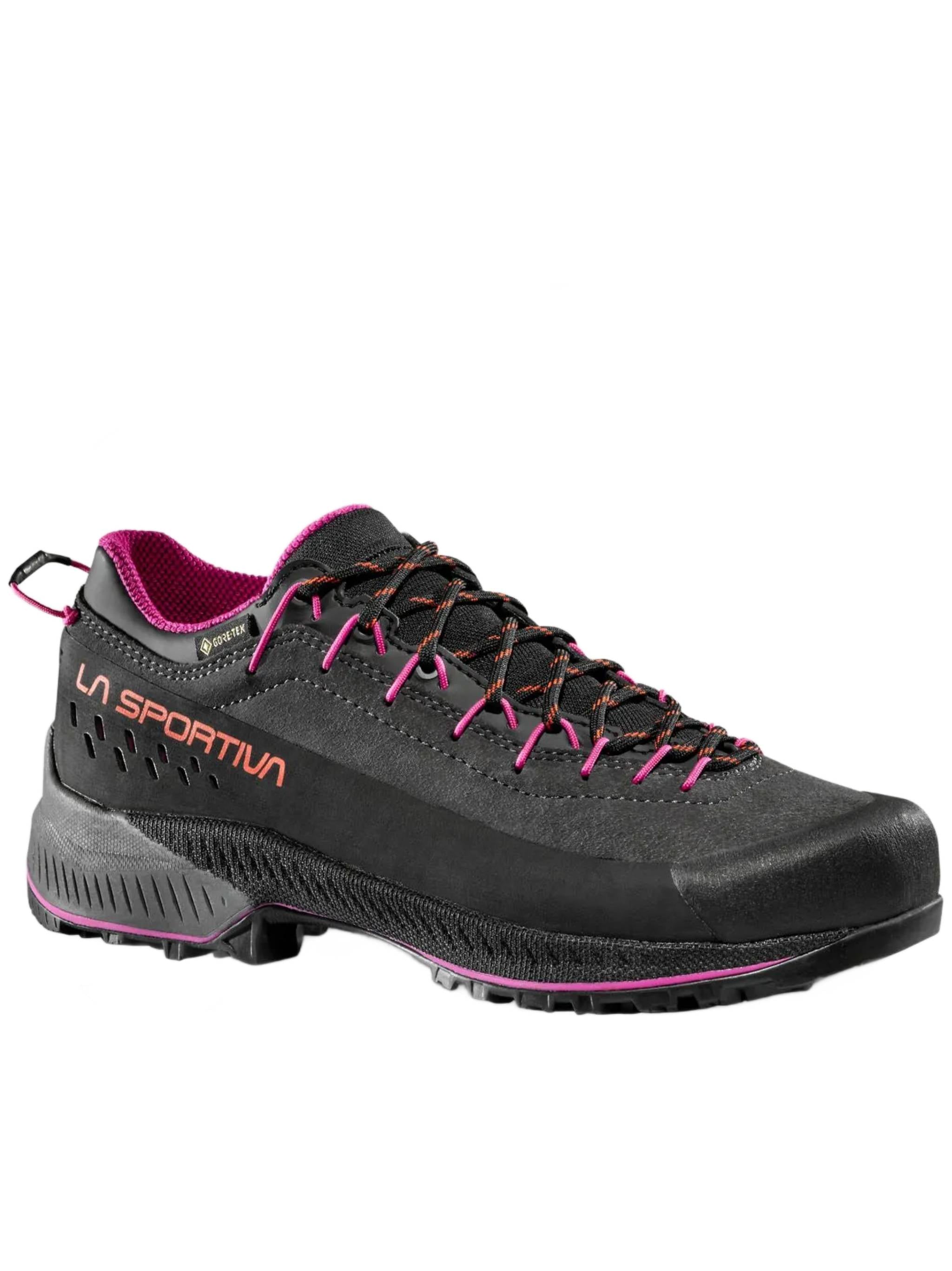 Dark Grey TX4 Evo GTX Outdoor Shoes