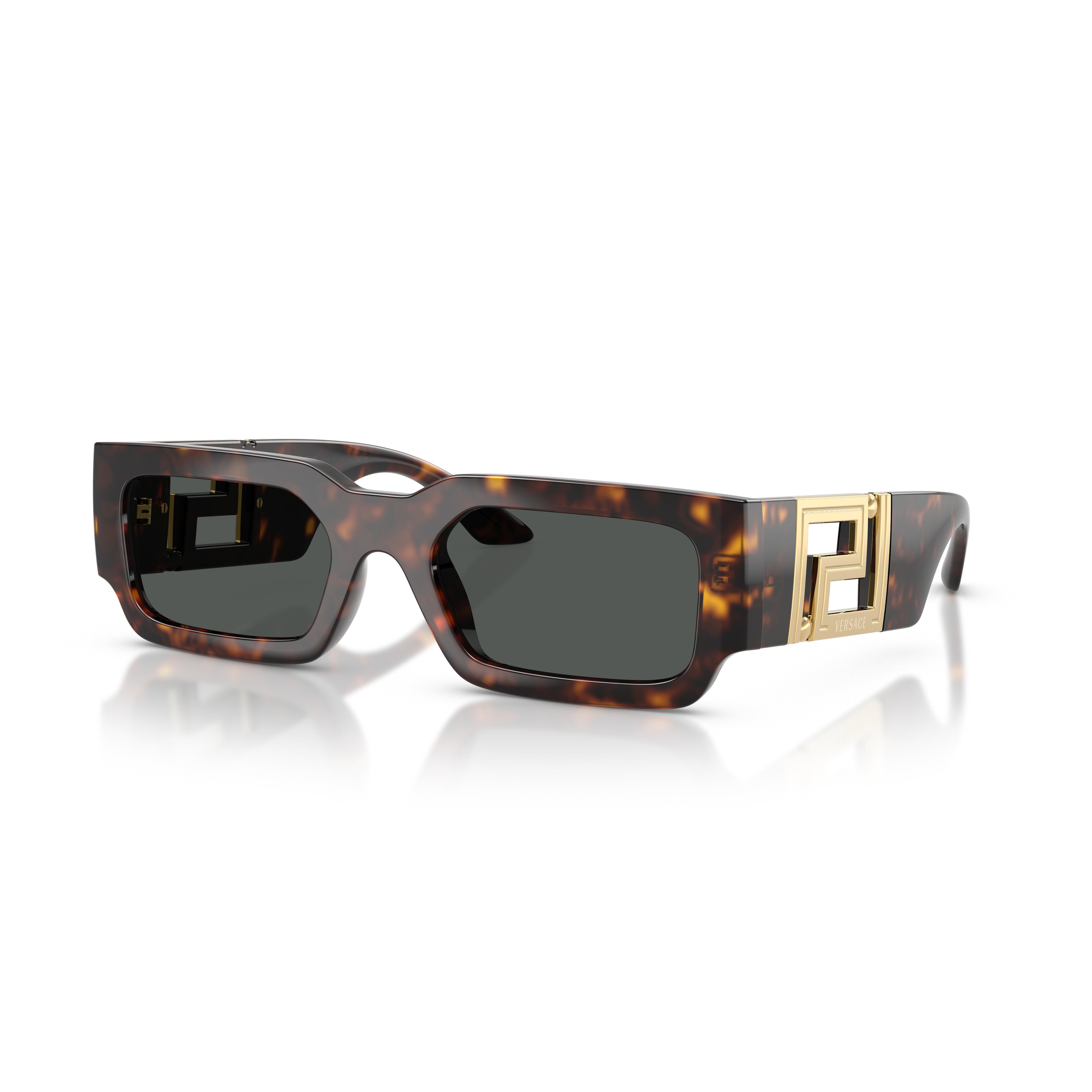 0ve4506u Tortoiseshell Sunglasses