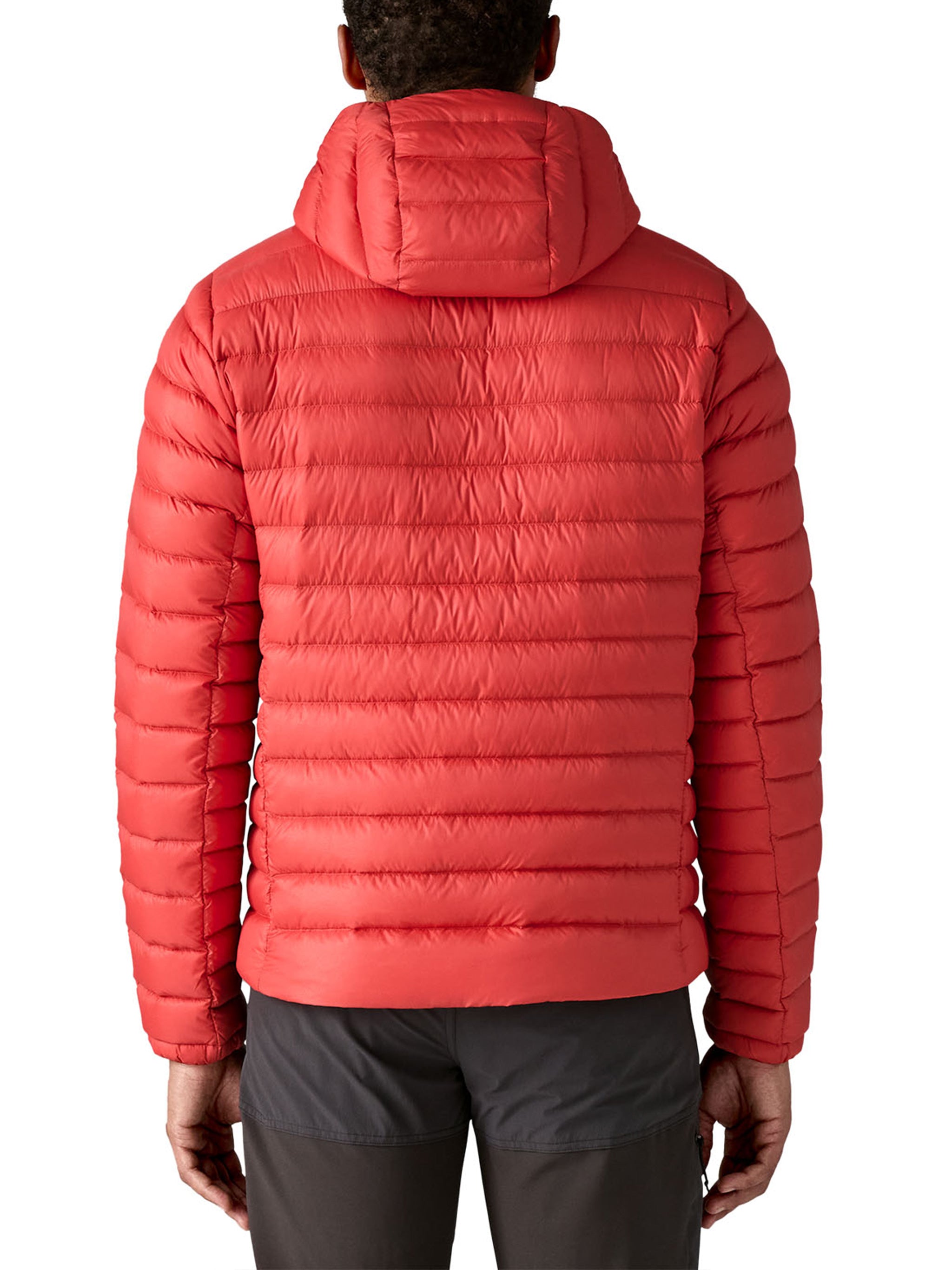Red Down Hoodie Hoody Down Hoodie