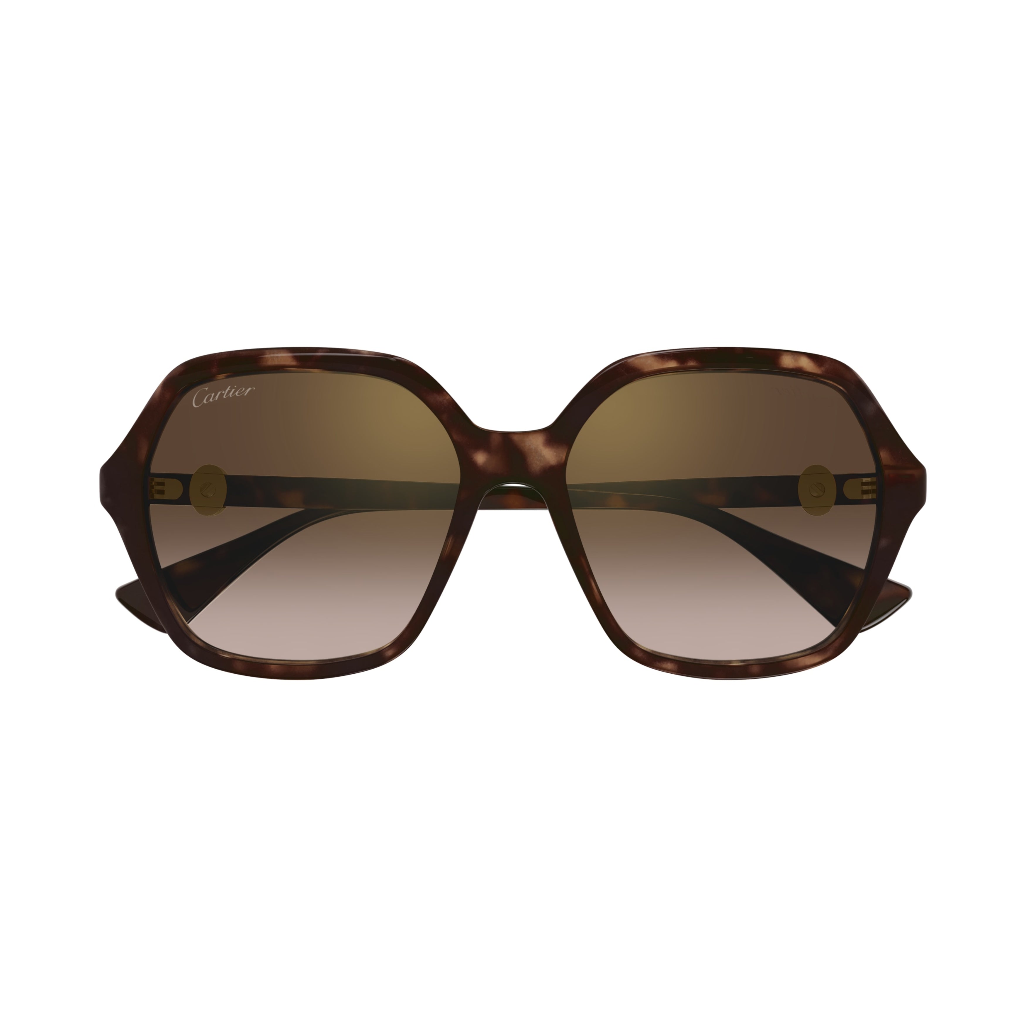 Ct0470s Oversized Tortoiseshell Geometric Sunglasses