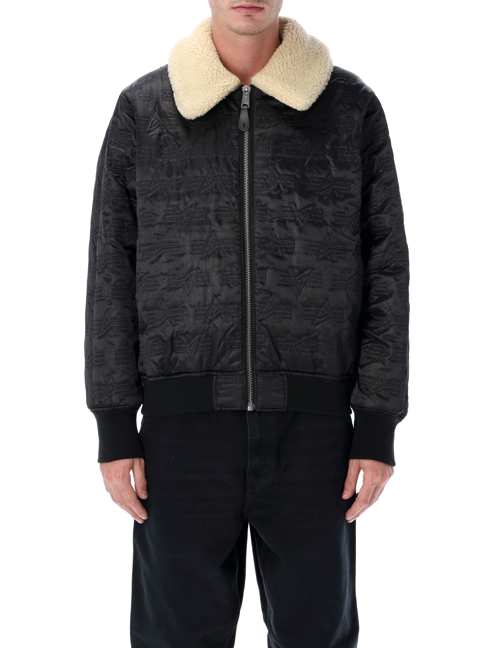 B-15 Mod Reversible Bomber