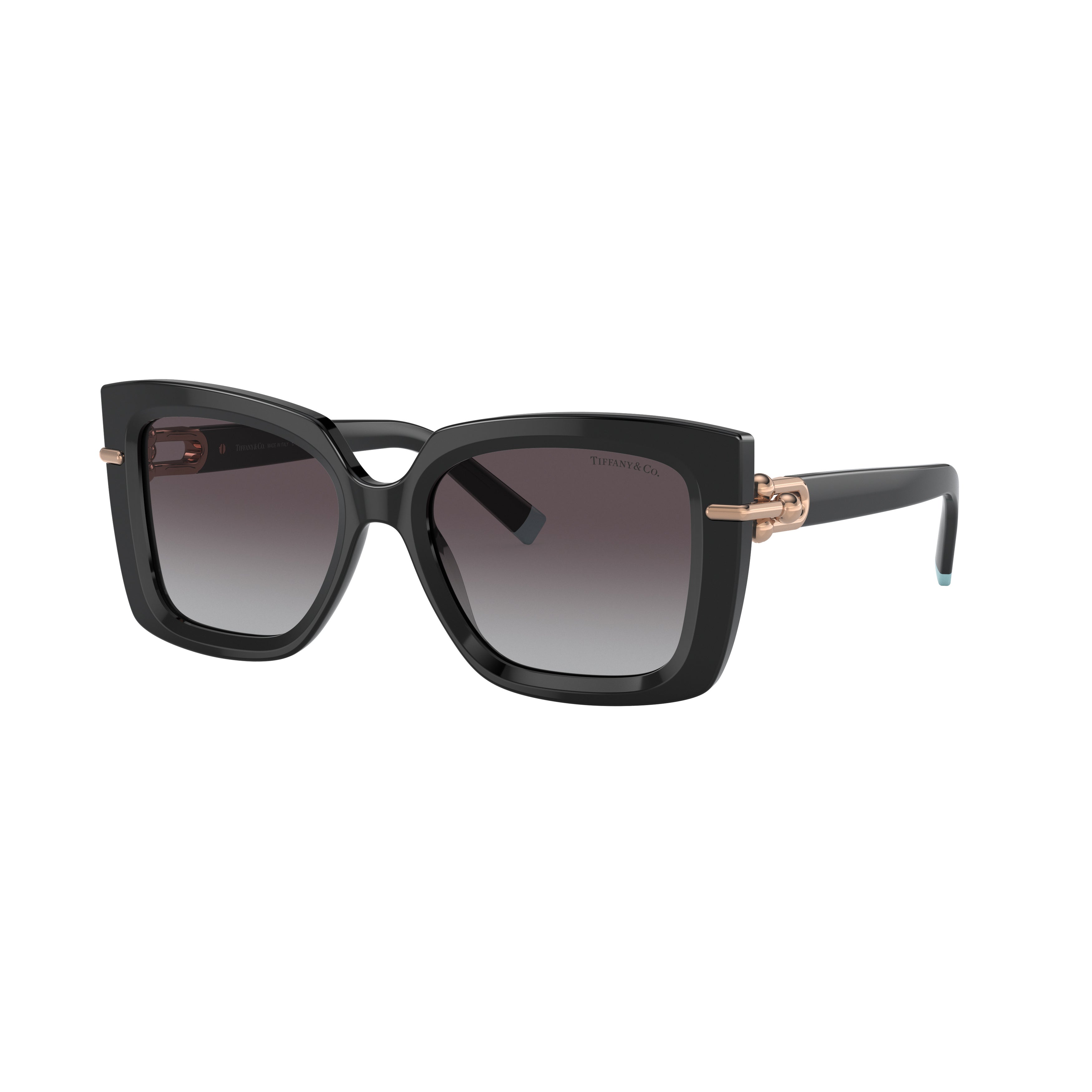 0tf4199 Oversized Square Sunglasses