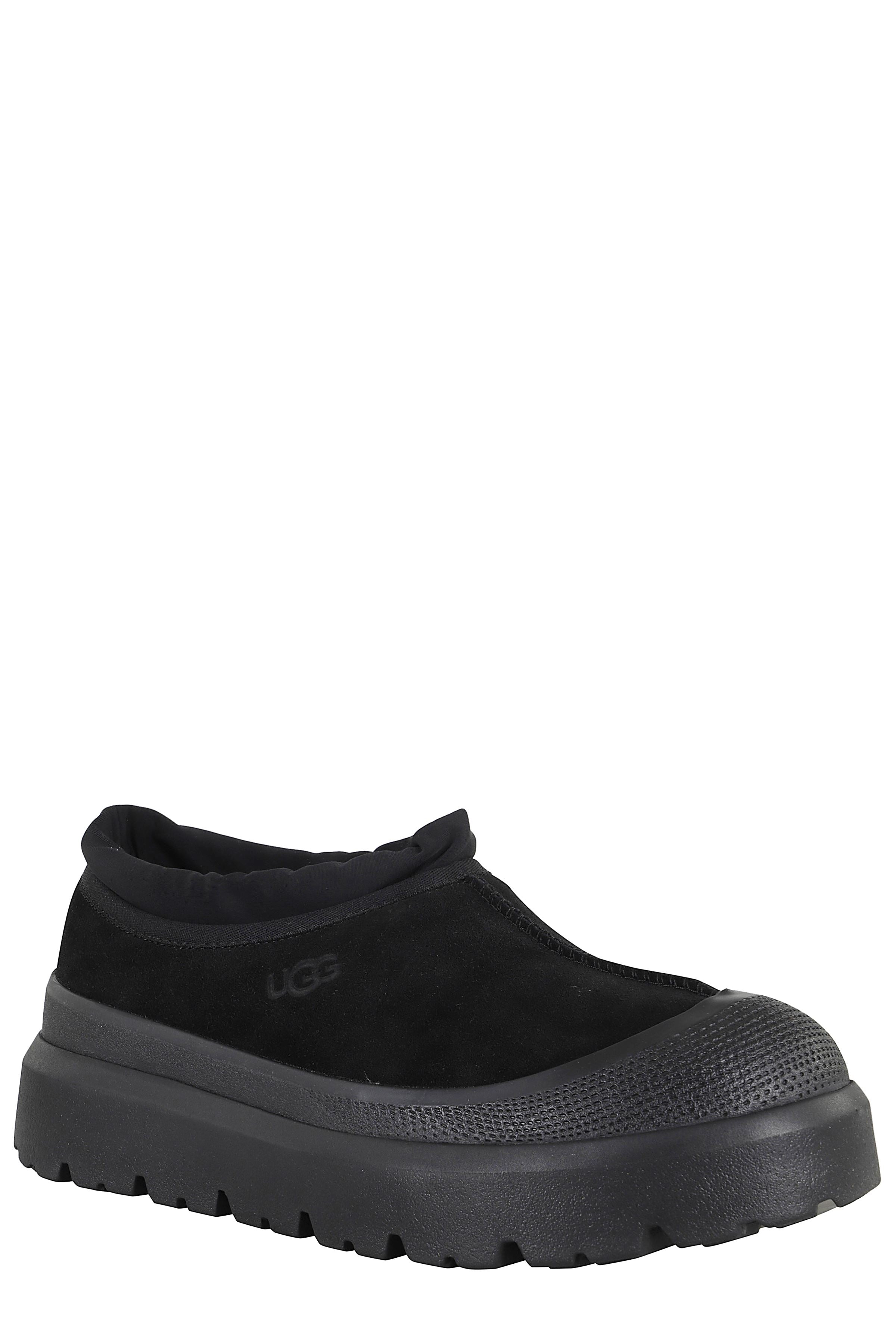 M Tasman Shoe