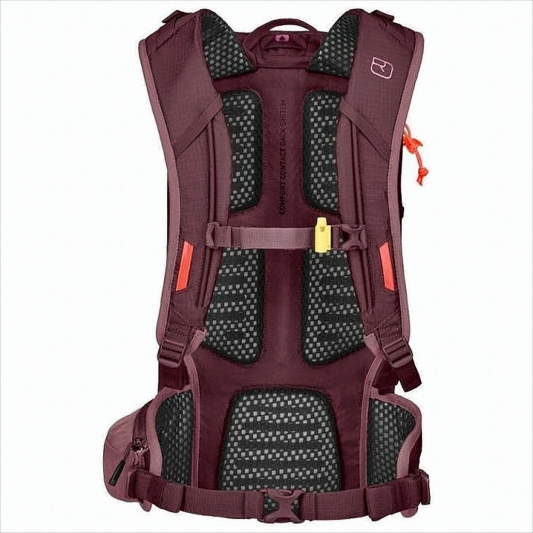 Functional Outdoor Backpack with Padded Straps