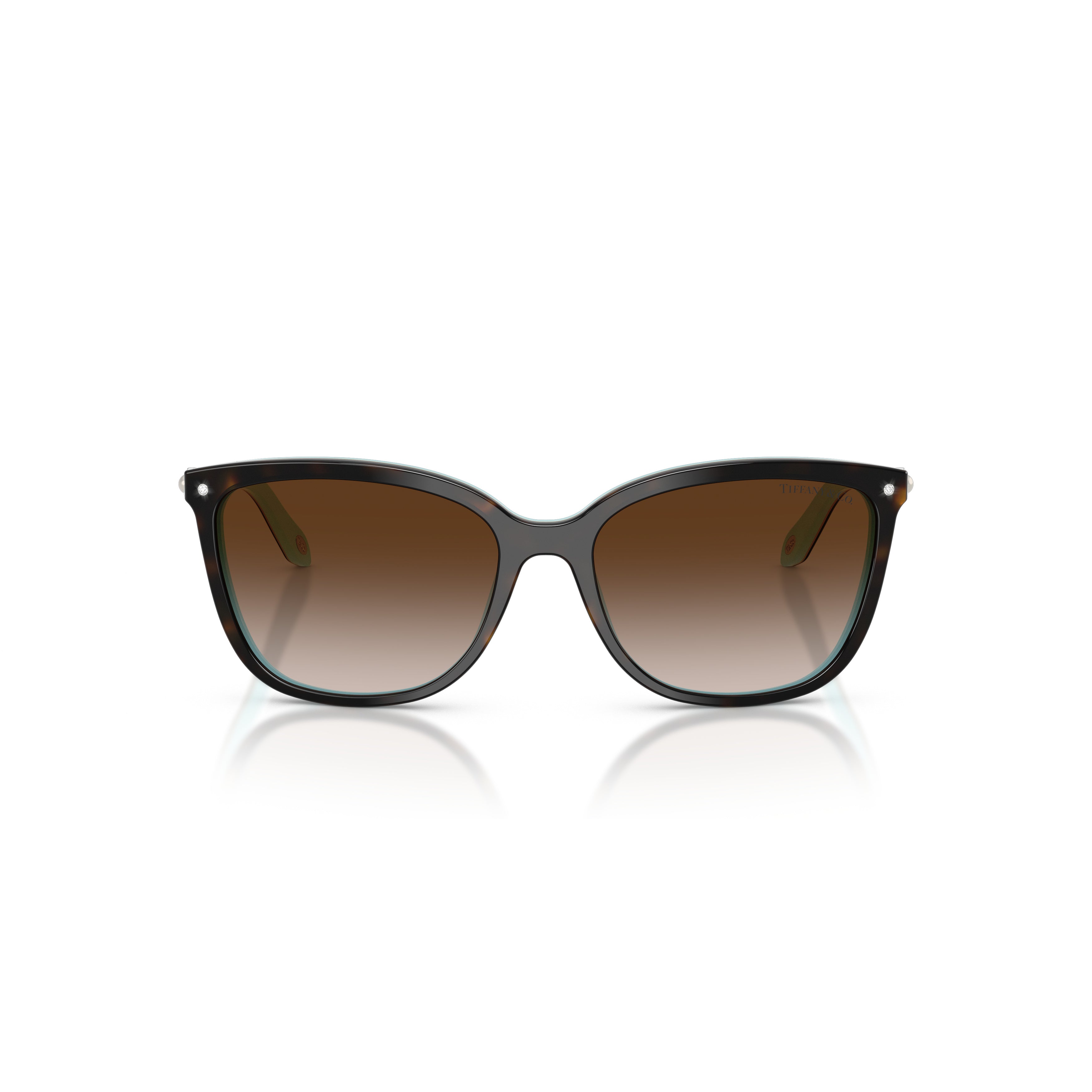 0tf4105hb Cat-Eye Sunglasses in Glossy Acetate
