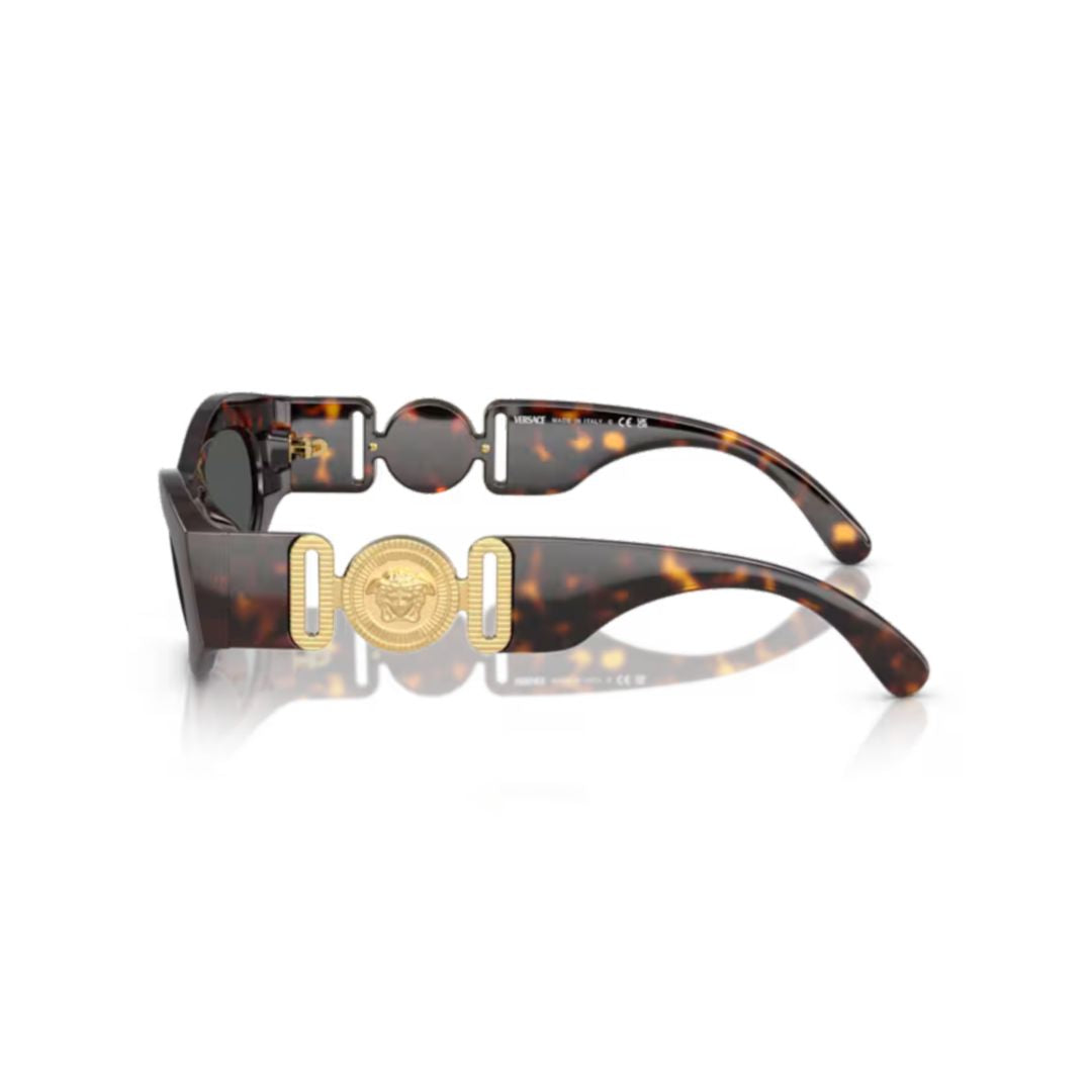 0ve4480u Tortoiseshell-Patterned Oval Sunglasses