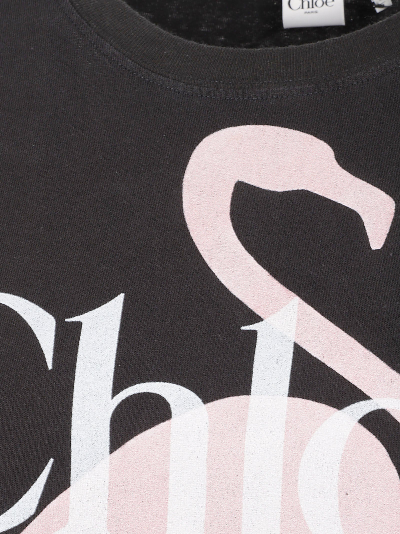 Loose-Fitting Organic Cotton T-Shirt