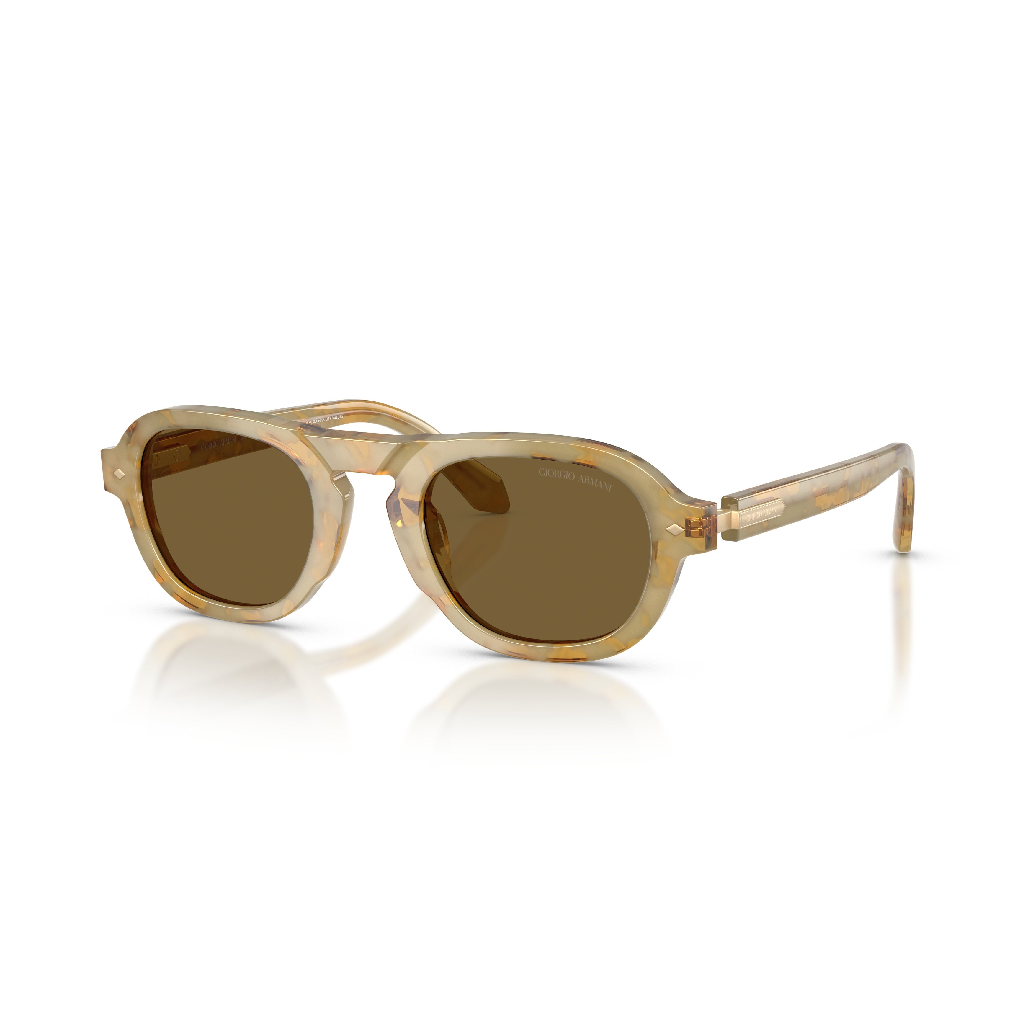 0ar8244 Translucent Acetate Sunglasses with Brown Tinted Lenses