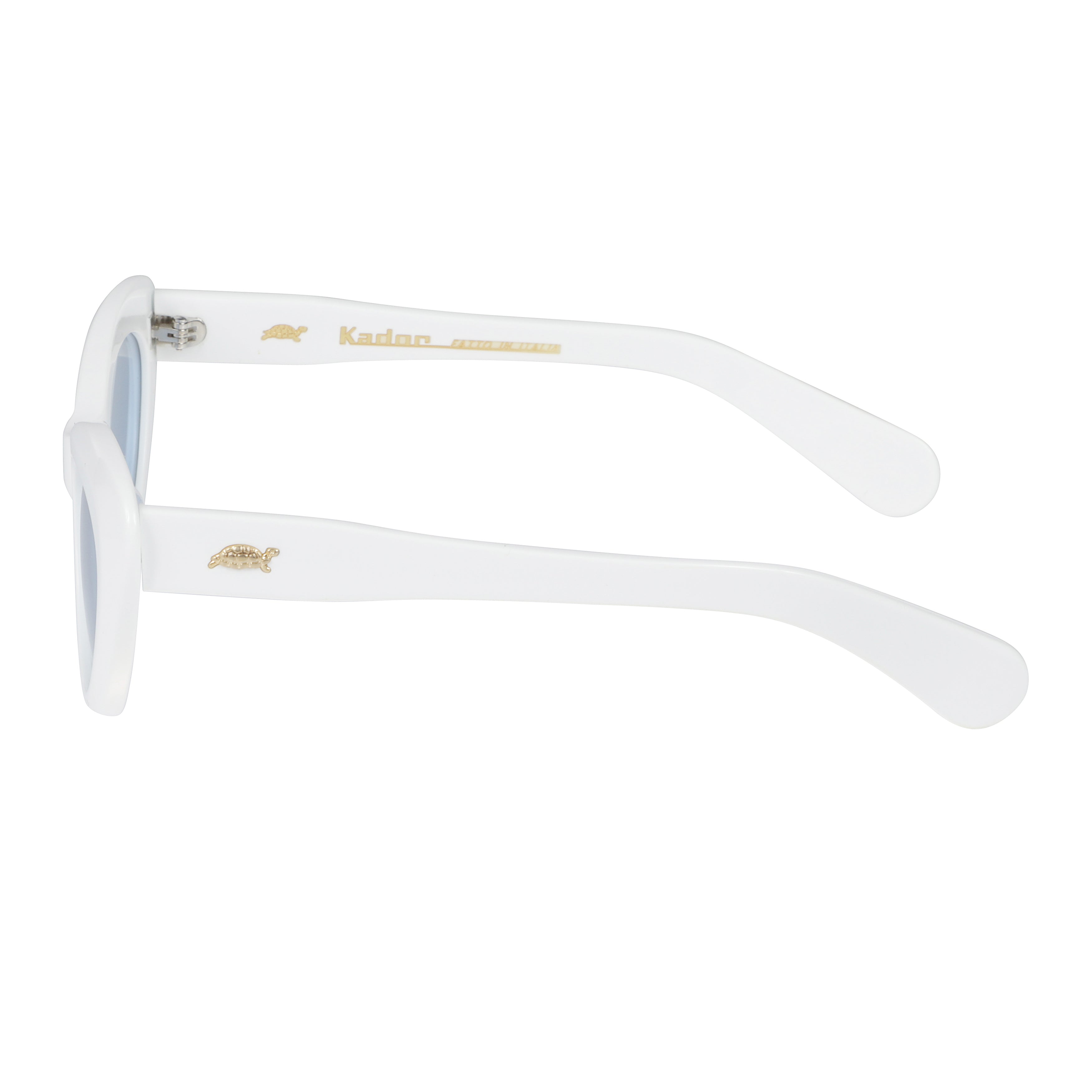 Pretty Bold Cat-Eye Frame Sunglasses with Gold Branding