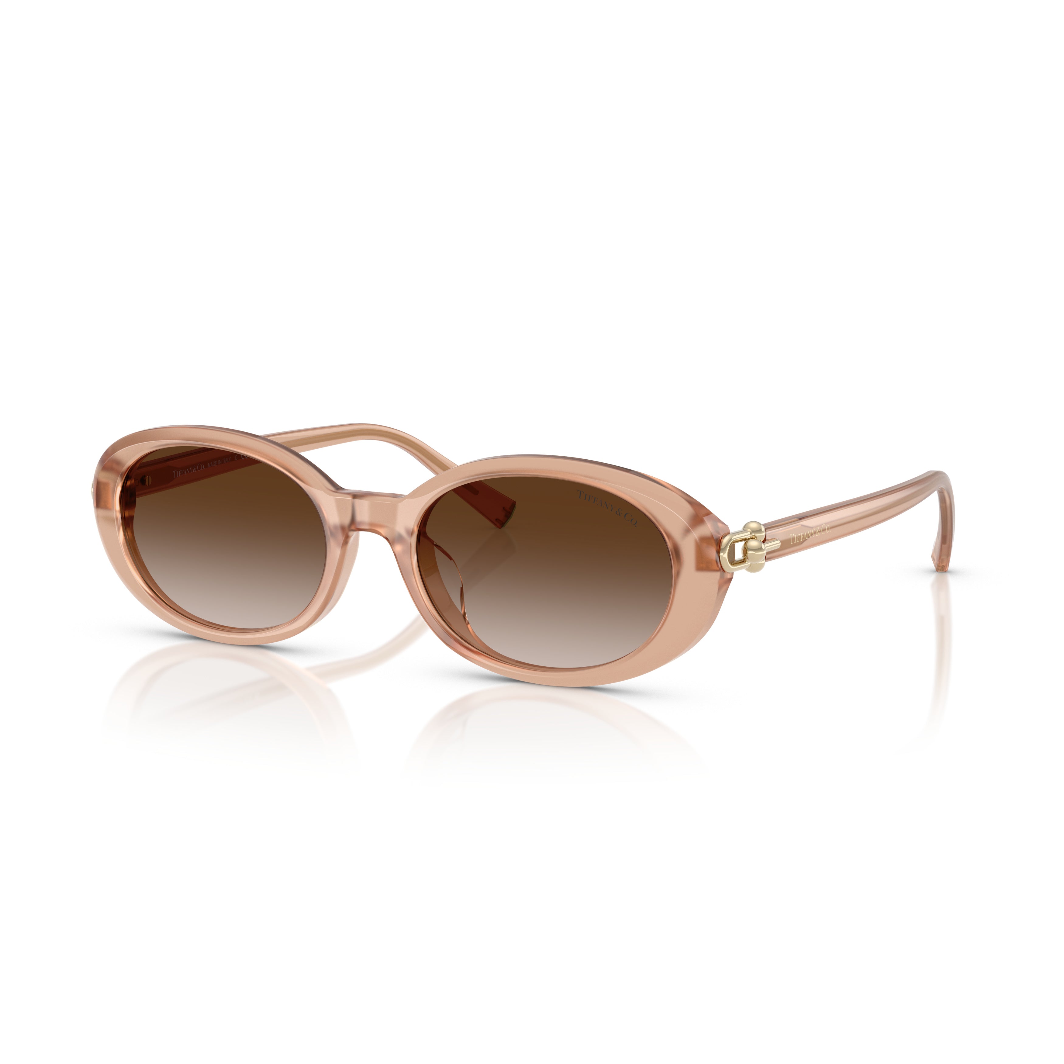 0tf4242d Translucent Acetate Oval Sunglasses