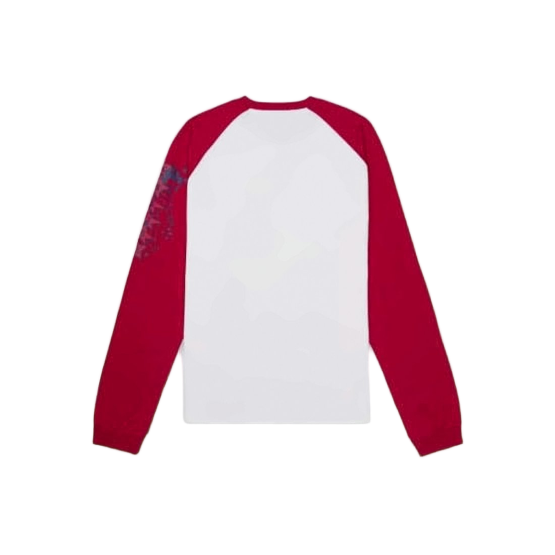 Long-Sleeve Graphic T-Shirt with Contrasting Sleeves