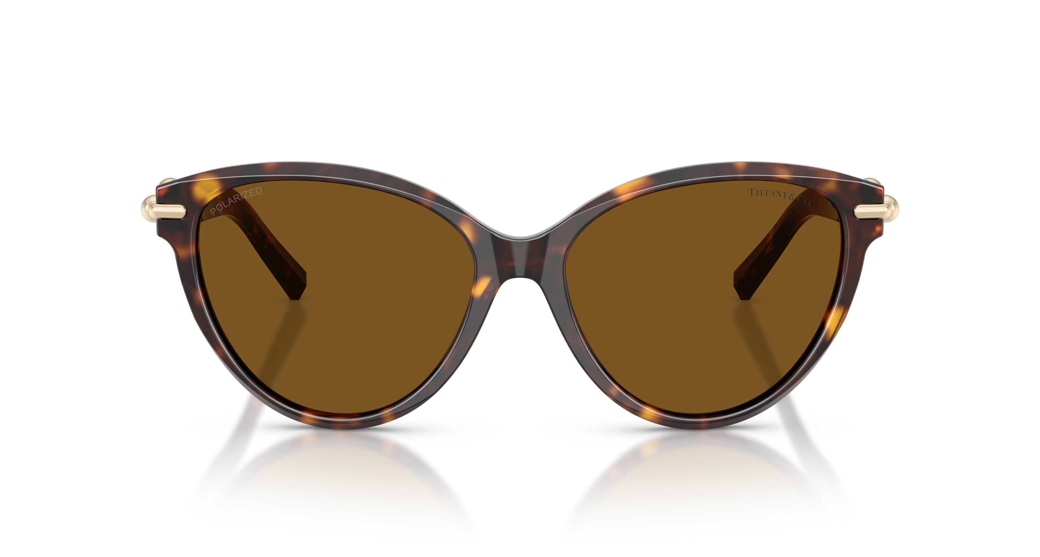 0tf4261 Rounded Cat-Eye Sunglasses
