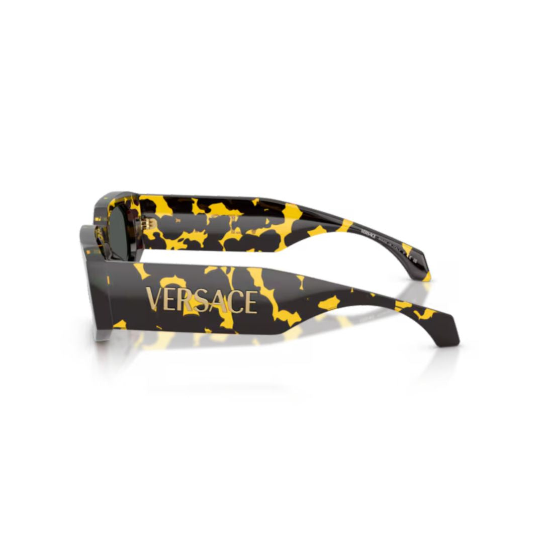 0ve4489u Bold Rectangular Sunglasses
