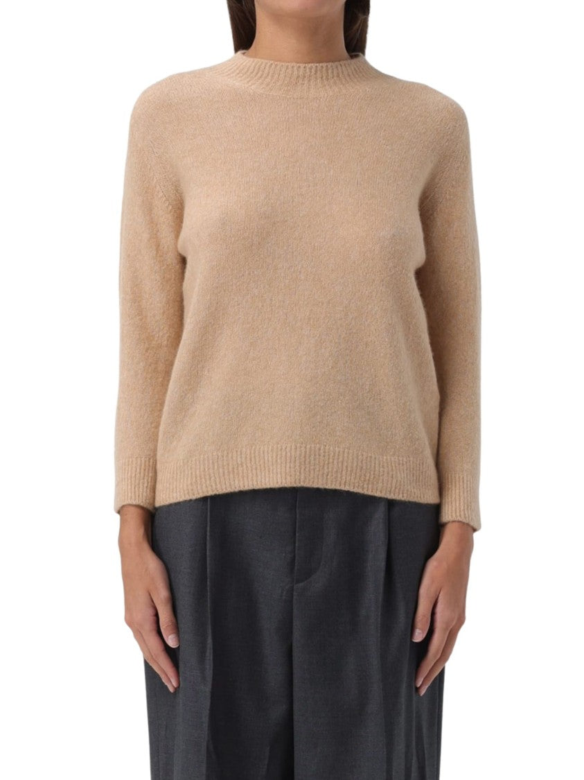 Brown Longsleeves Sweater