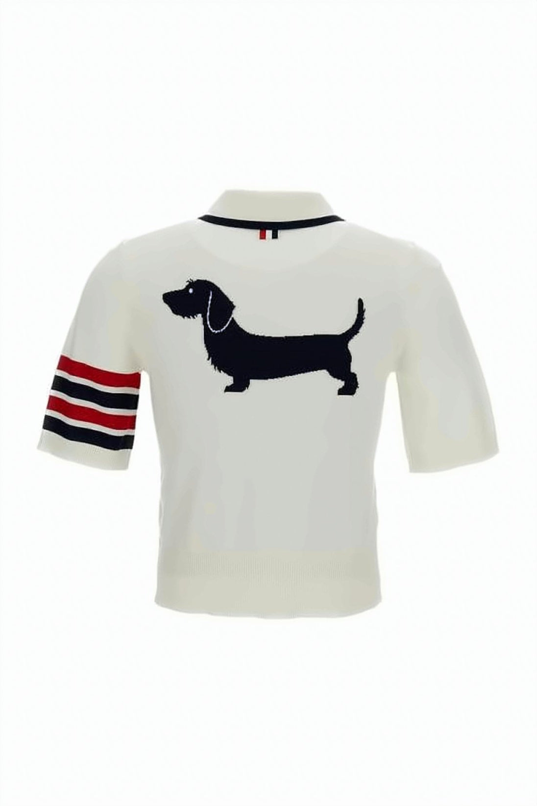 Cropped Polo Shirt with Contrasting Trim