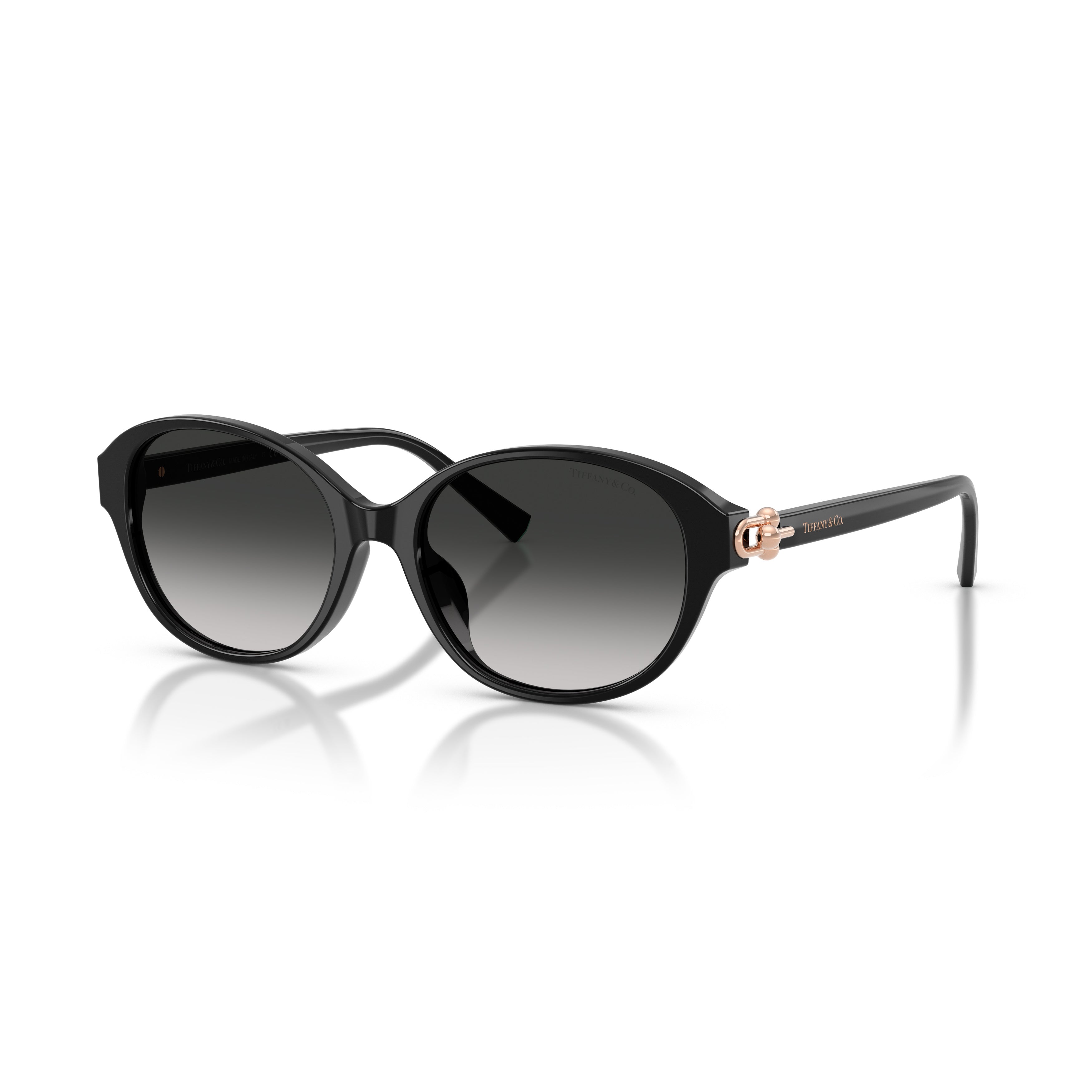 0tf4263d Rounded Black Acetate Sunglasses