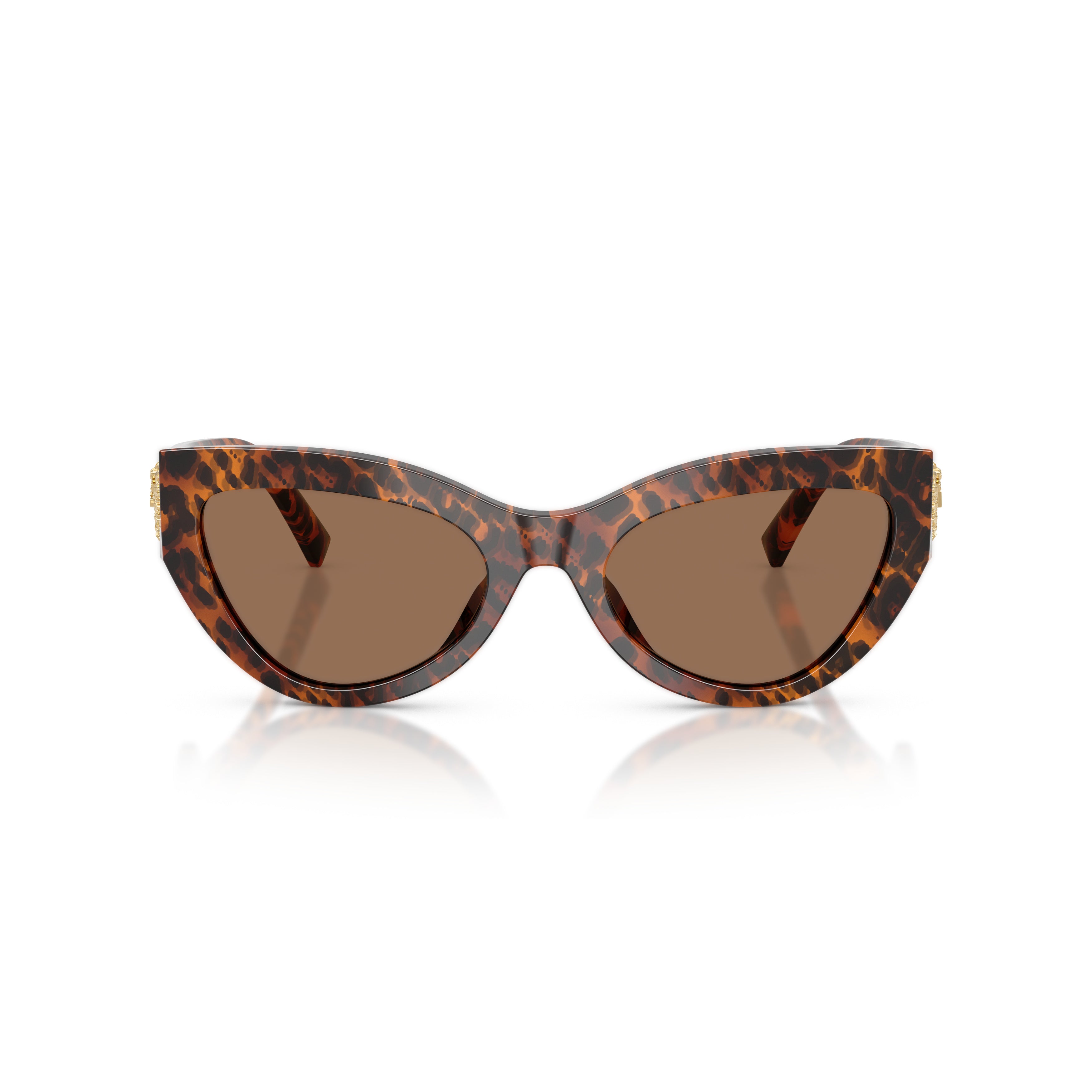 Bold Cat-Eye Sunglasses with Tortoiseshell Acetate Frame