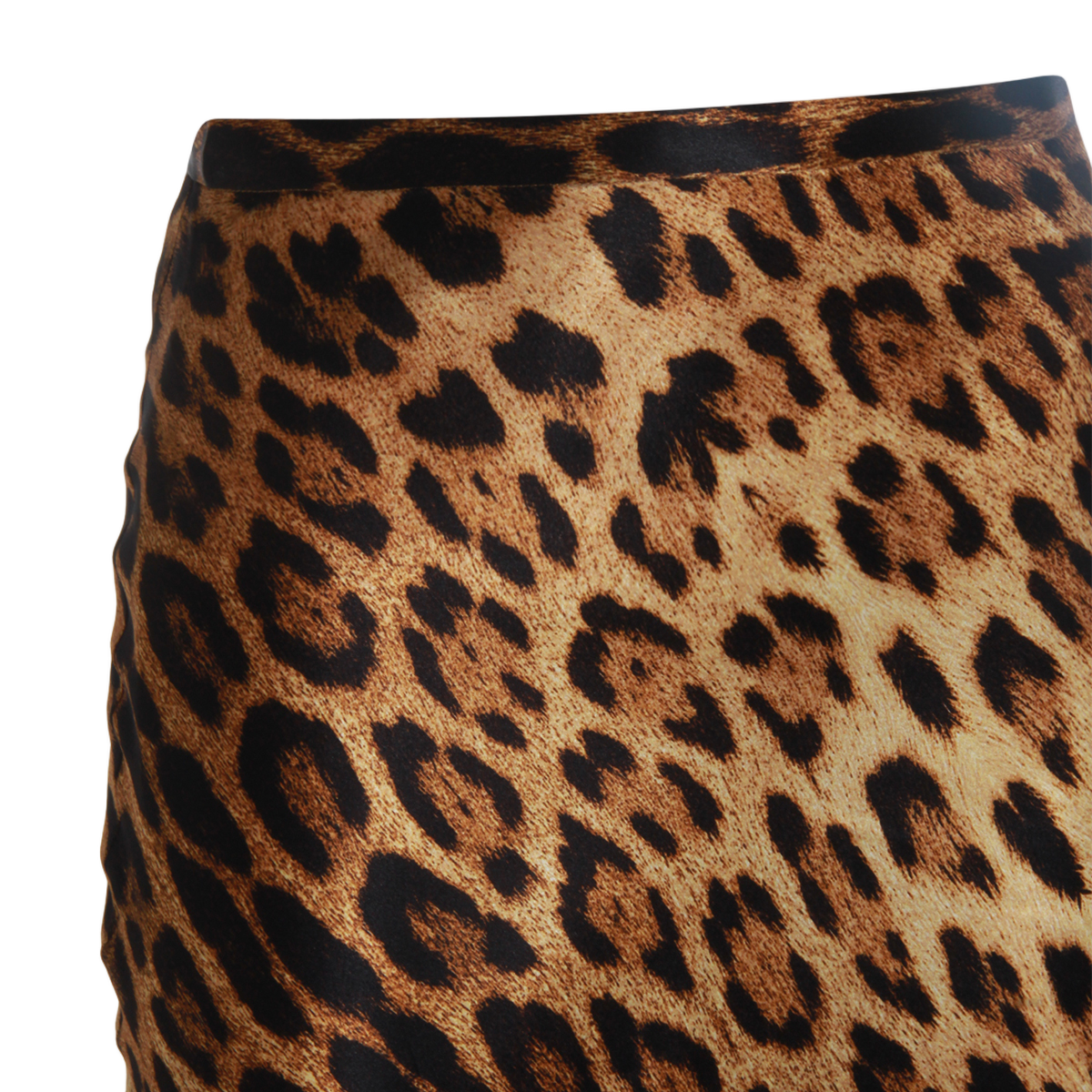Leopard Print Maxi Skirt with Fitted Waist