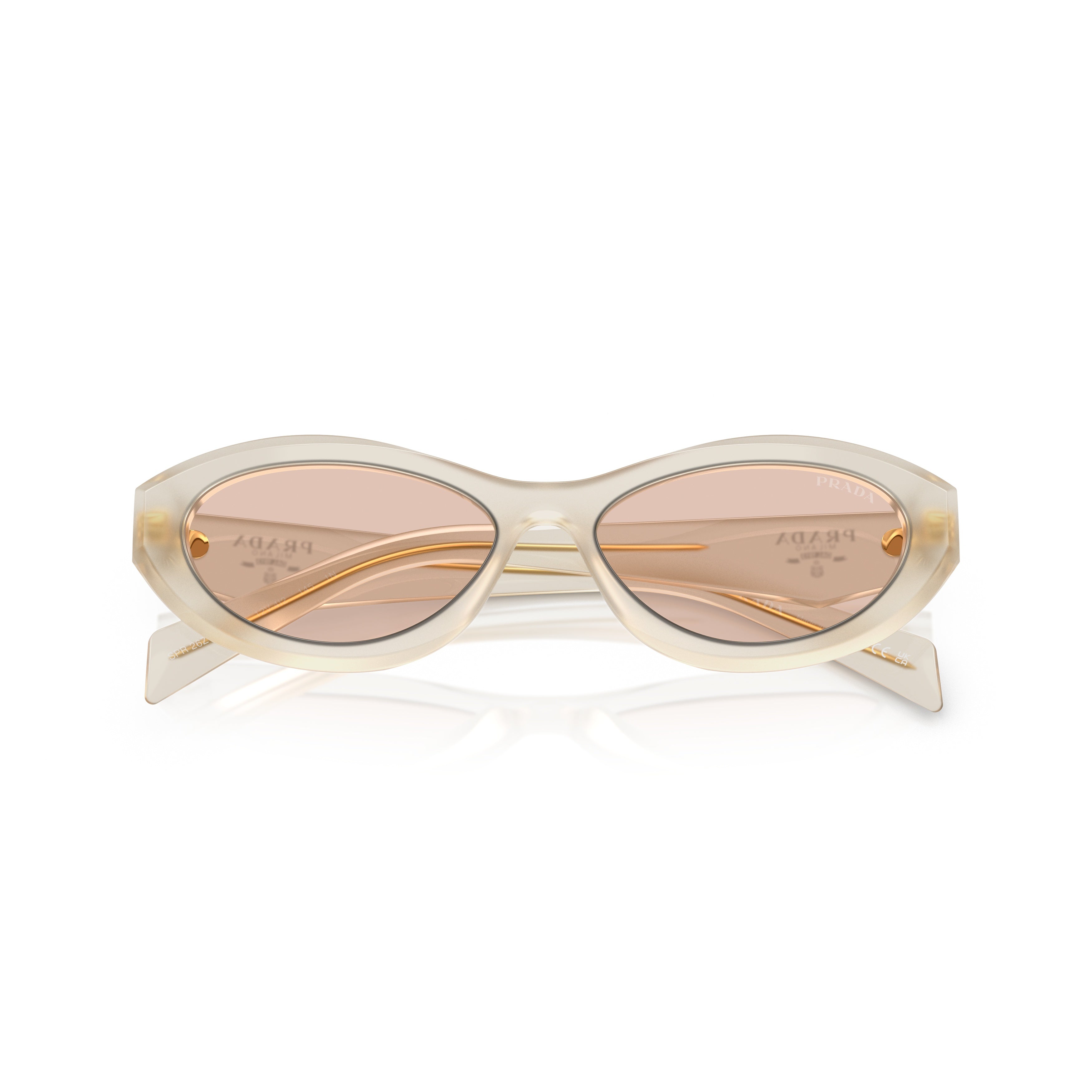 0pr 26zs Translucent Acetate Sunglasses